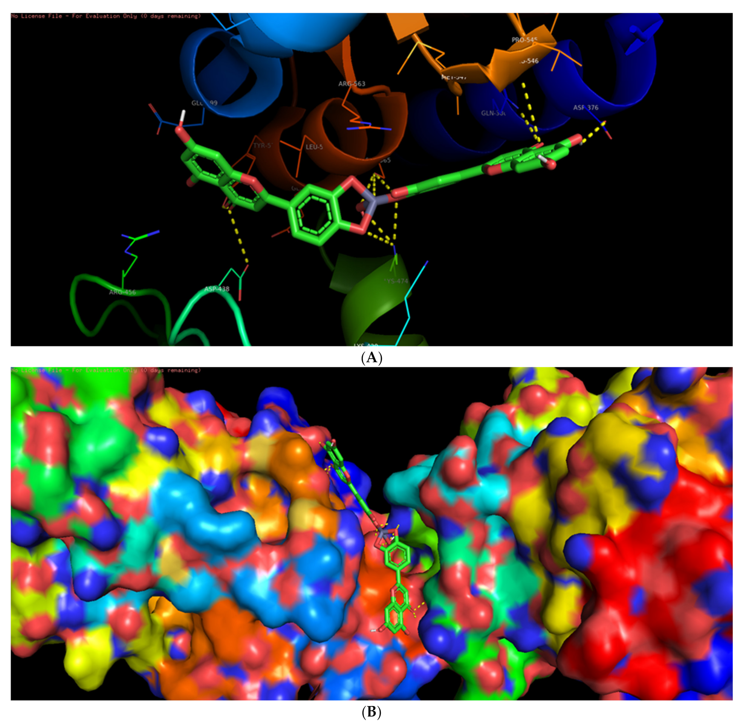 Biomolecules 11 00385 g009