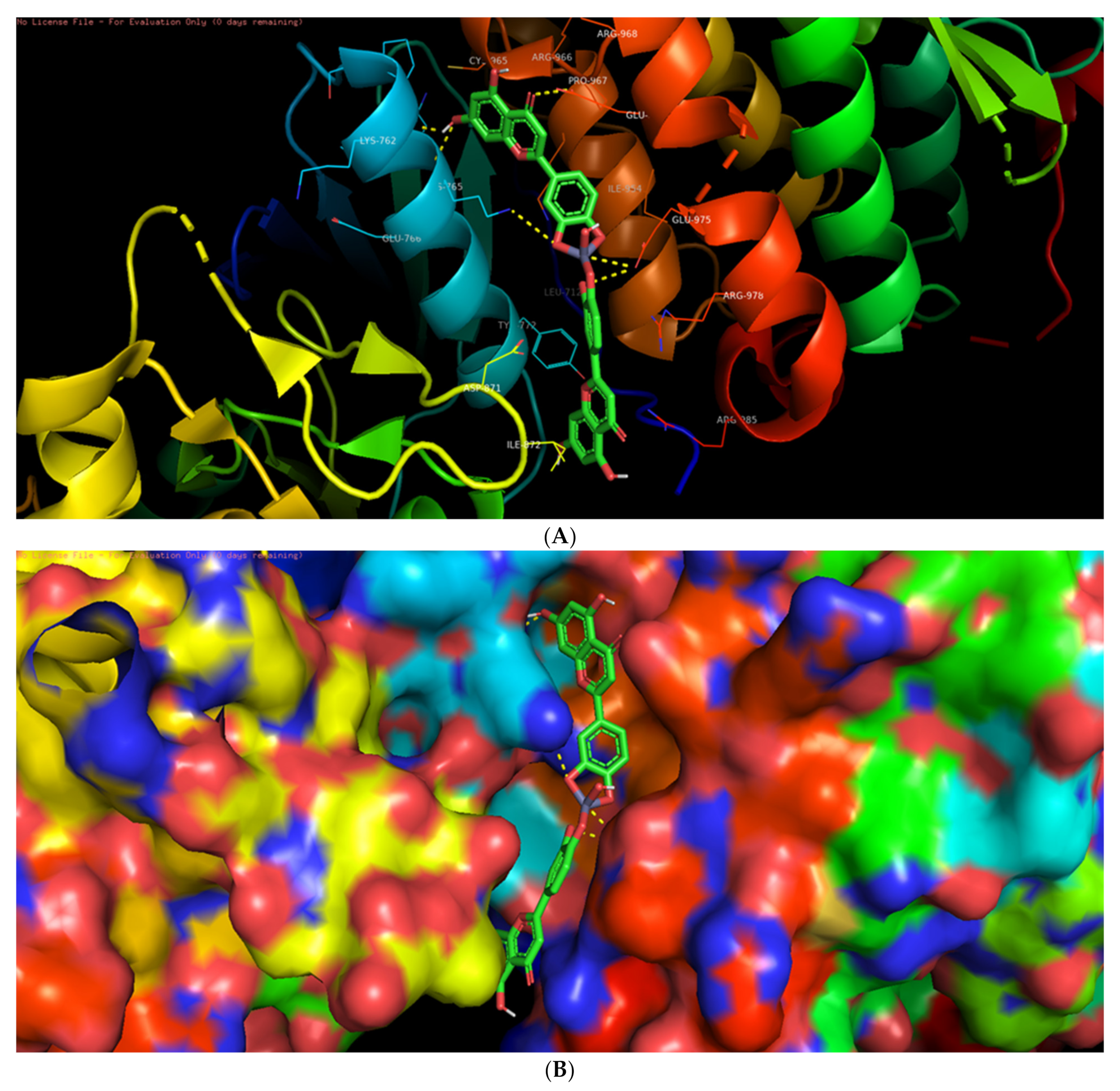 Biomolecules 11 00385 g010