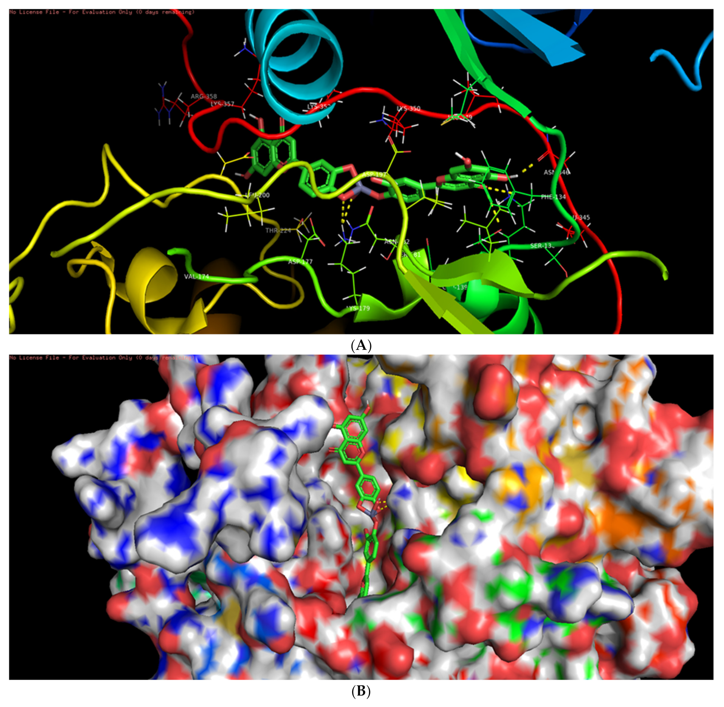 Biomolecules 11 00385 g011
