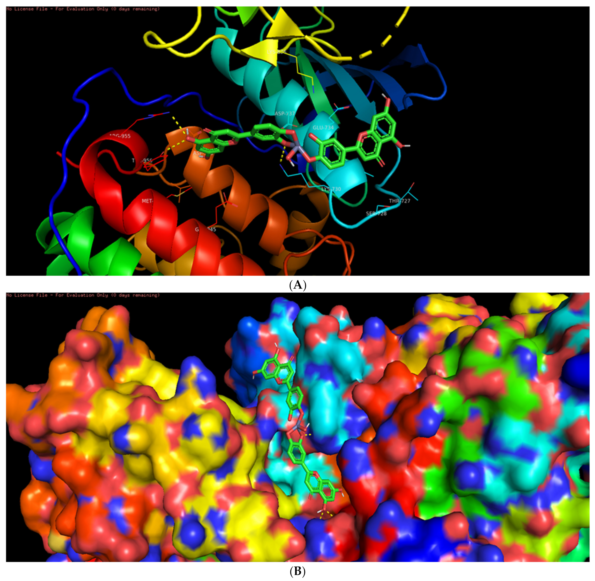 Biomolecules 11 00385 g012