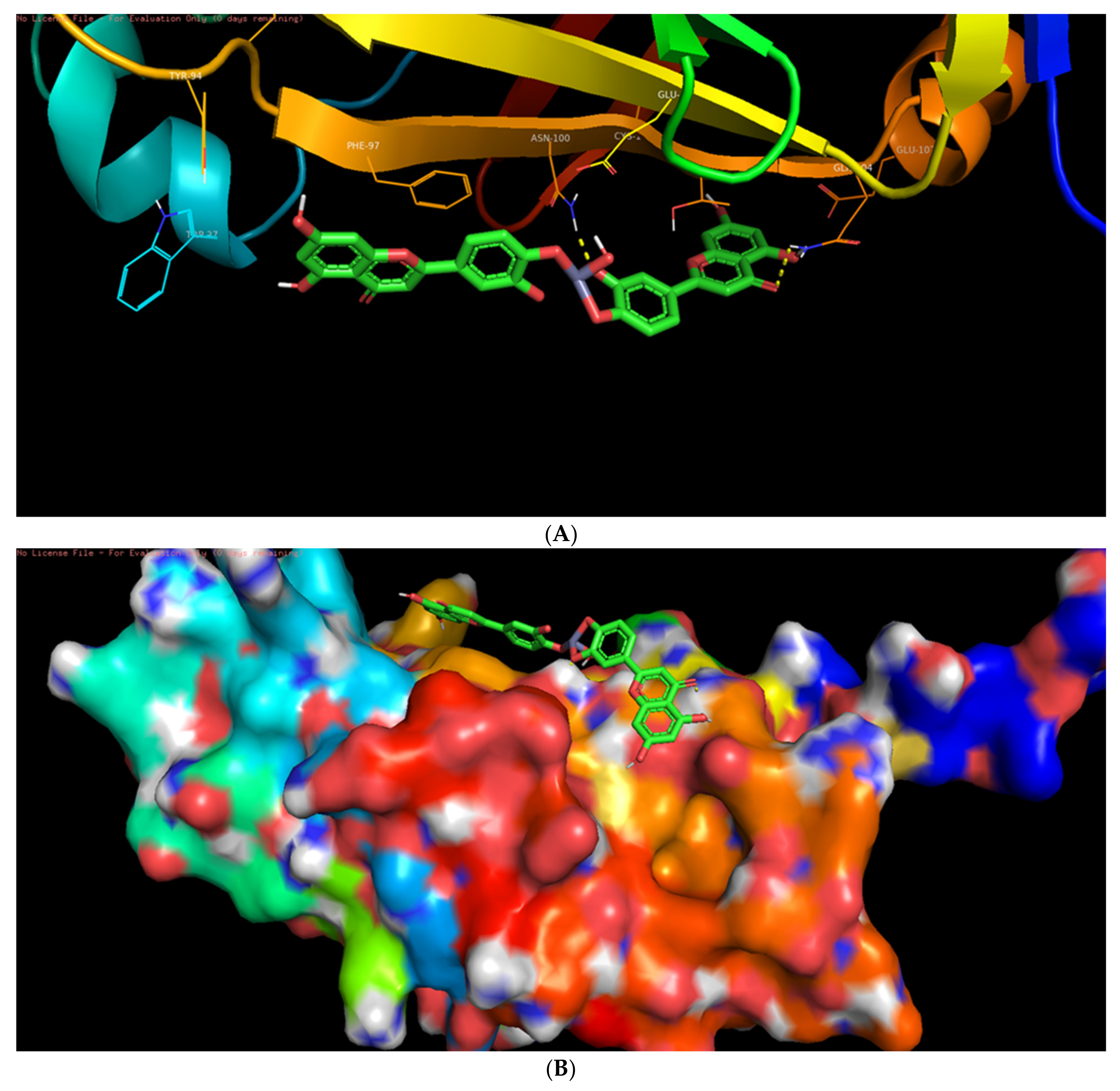 Biomolecules 11 00385 g013