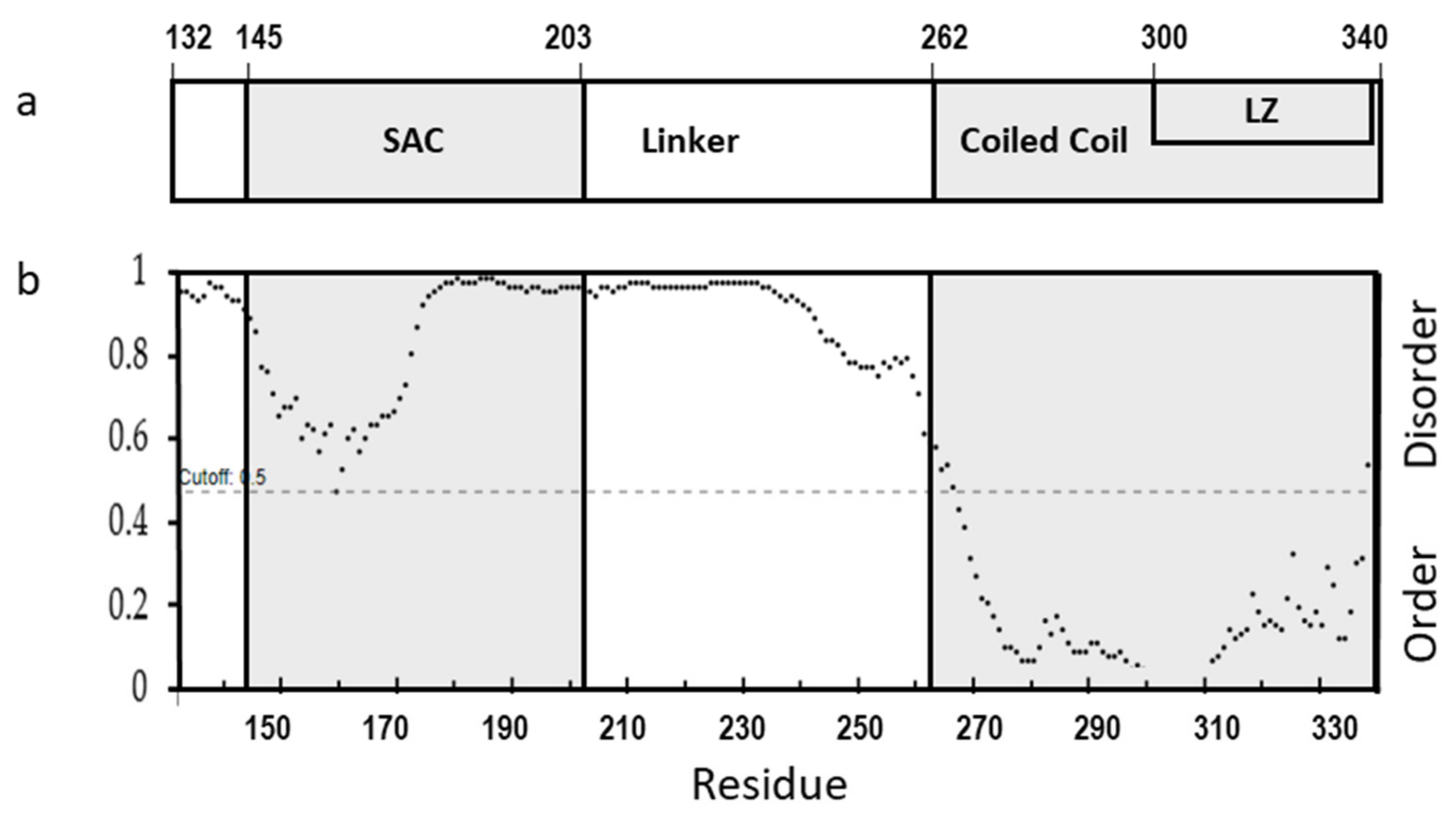 Biomolecules 11 00386 g001