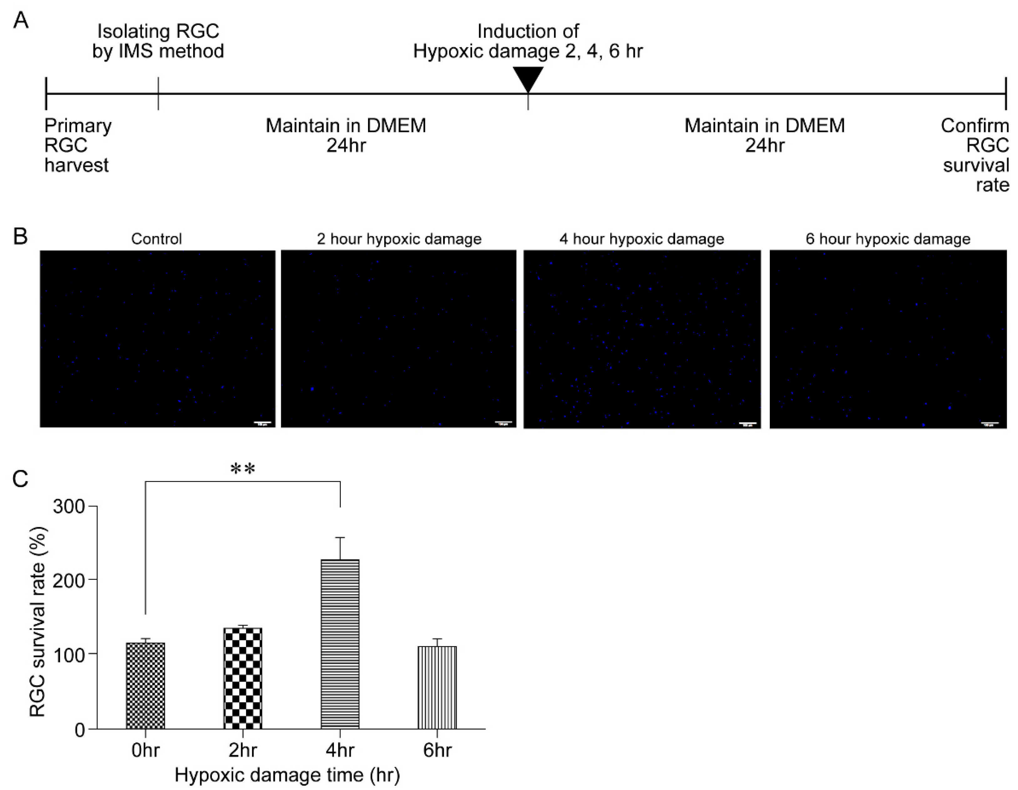 Biomolecules 11 00391 g002 Biomolecules 11 00391 g002