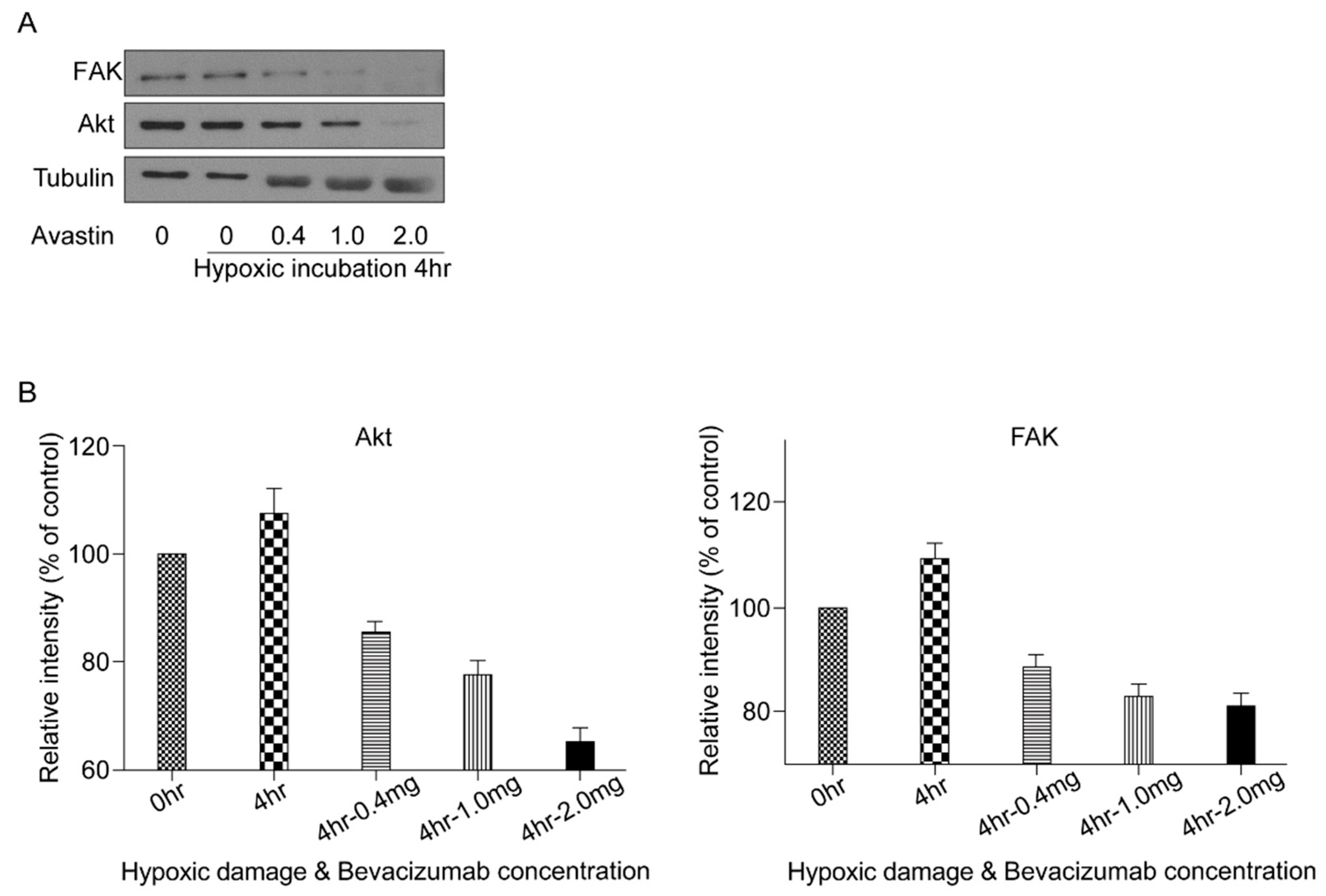 Biomolecules 11 00391 g006 Biomolecules 11 00391 g006