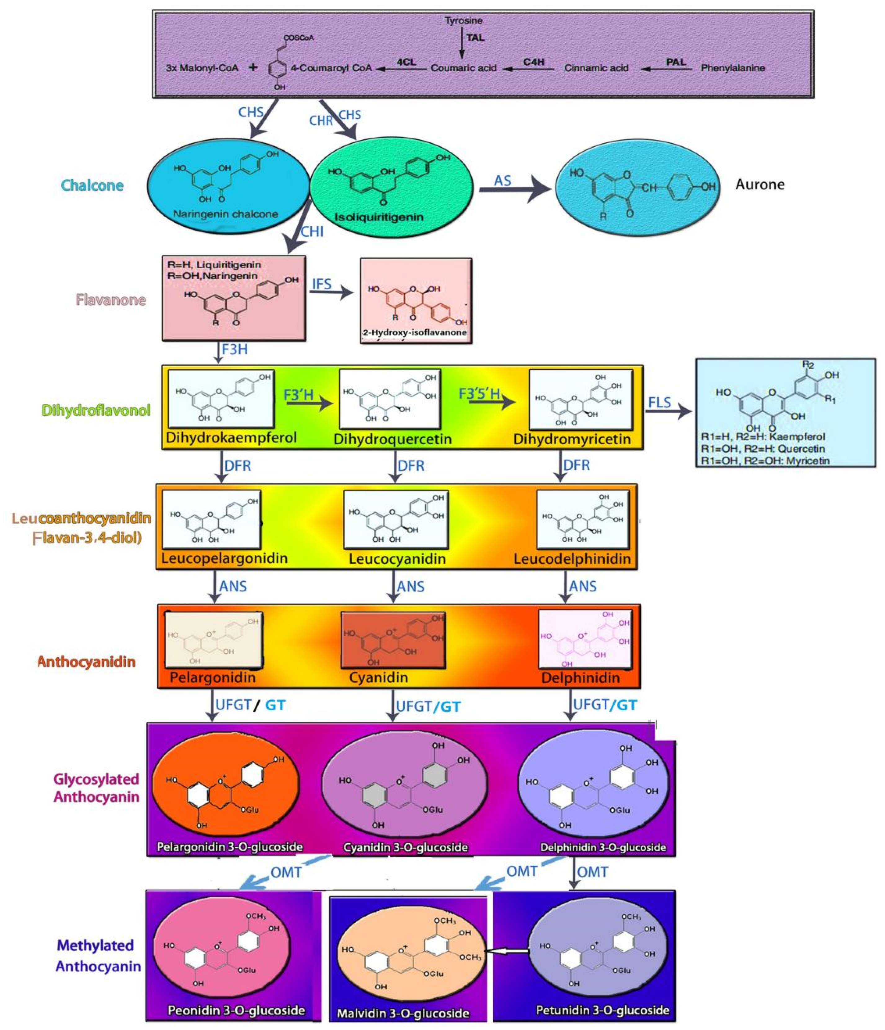 Biomolecules 11 00394 g002 Biomolecules 11 00394 g002