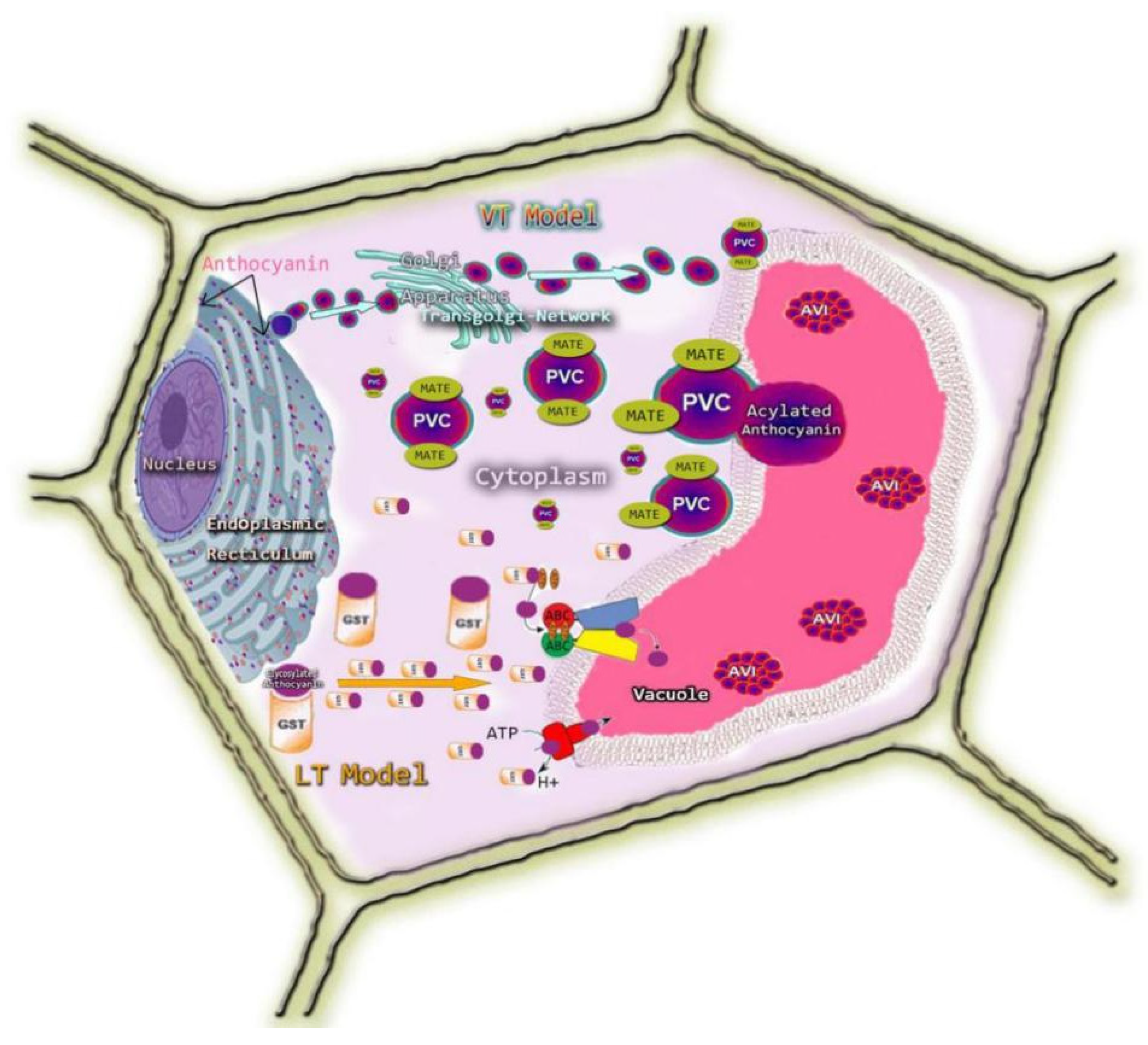 Biomolecules 11 00394 g004 Biomolecules 11 00394 g004