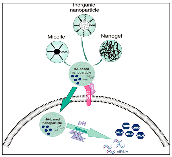 Biomolecules | Free Full-Text | Glycosaminoglycans: Carriers and 