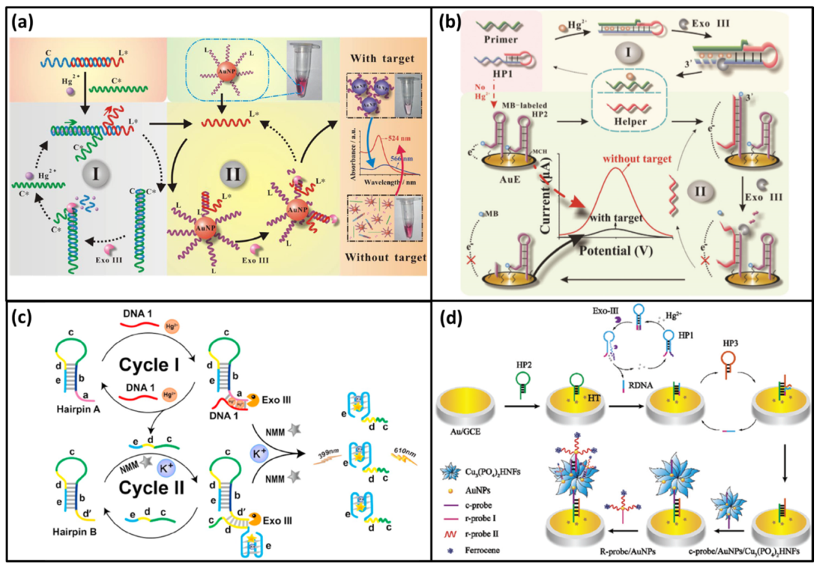 Biomolecules 11 00399 g003