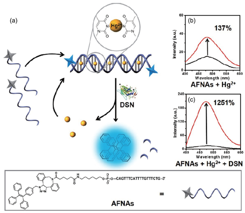 Biomolecules 11 00399 g006