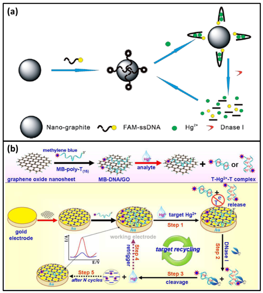 Biomolecules 11 00399 g007