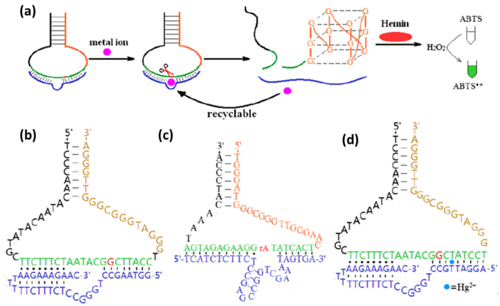 Biomolecules 11 00399 g010
