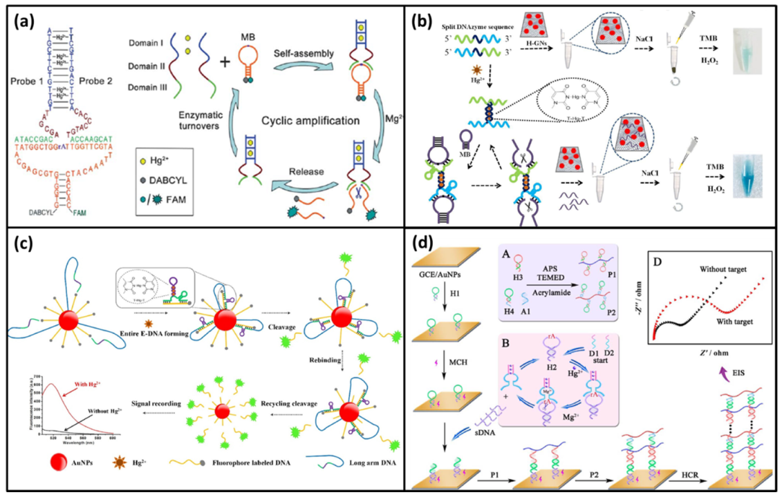 Biomolecules 11 00399 g011