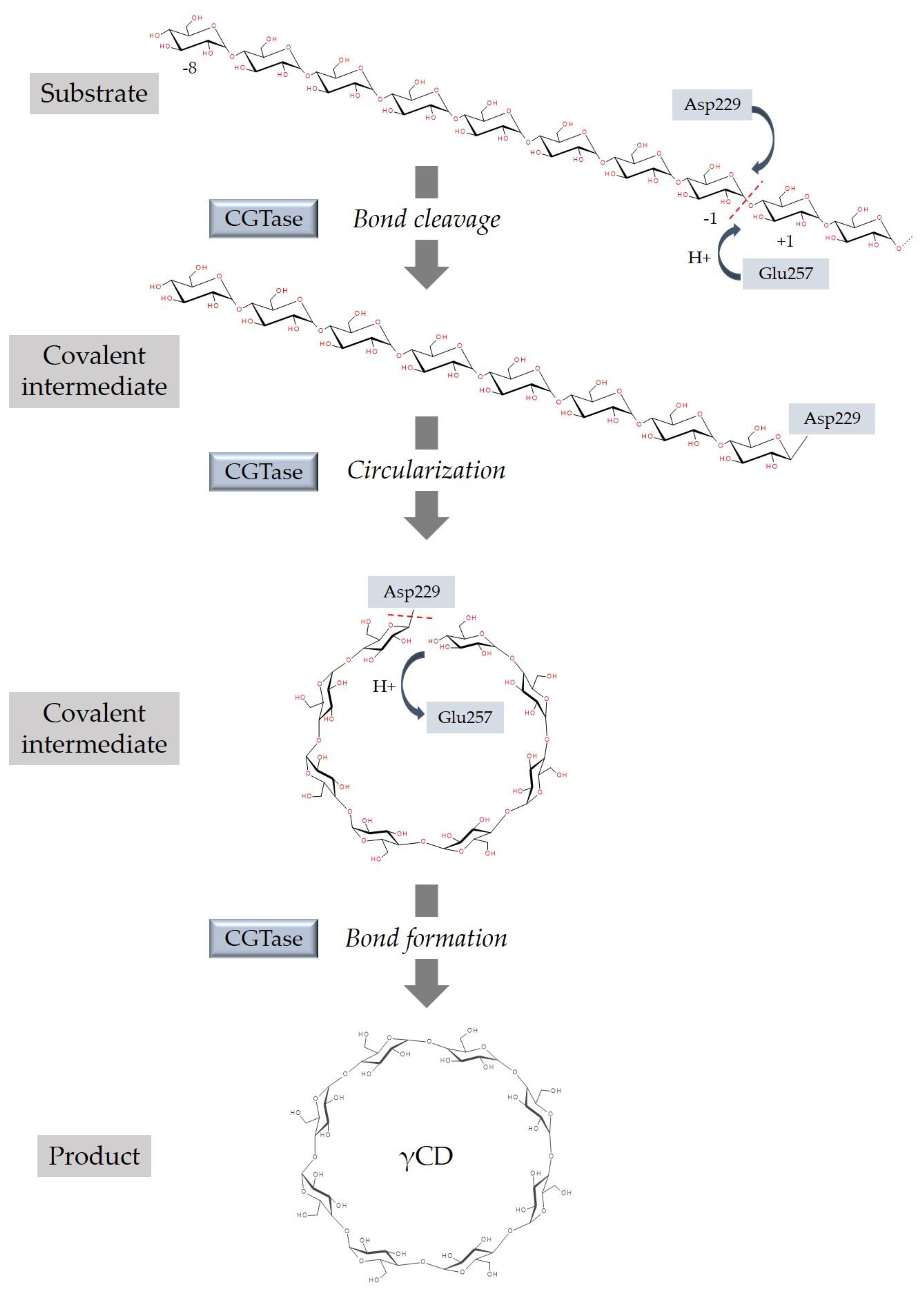Biomolecules 11 00401 g003 Biomolecules 11 00401 g003
