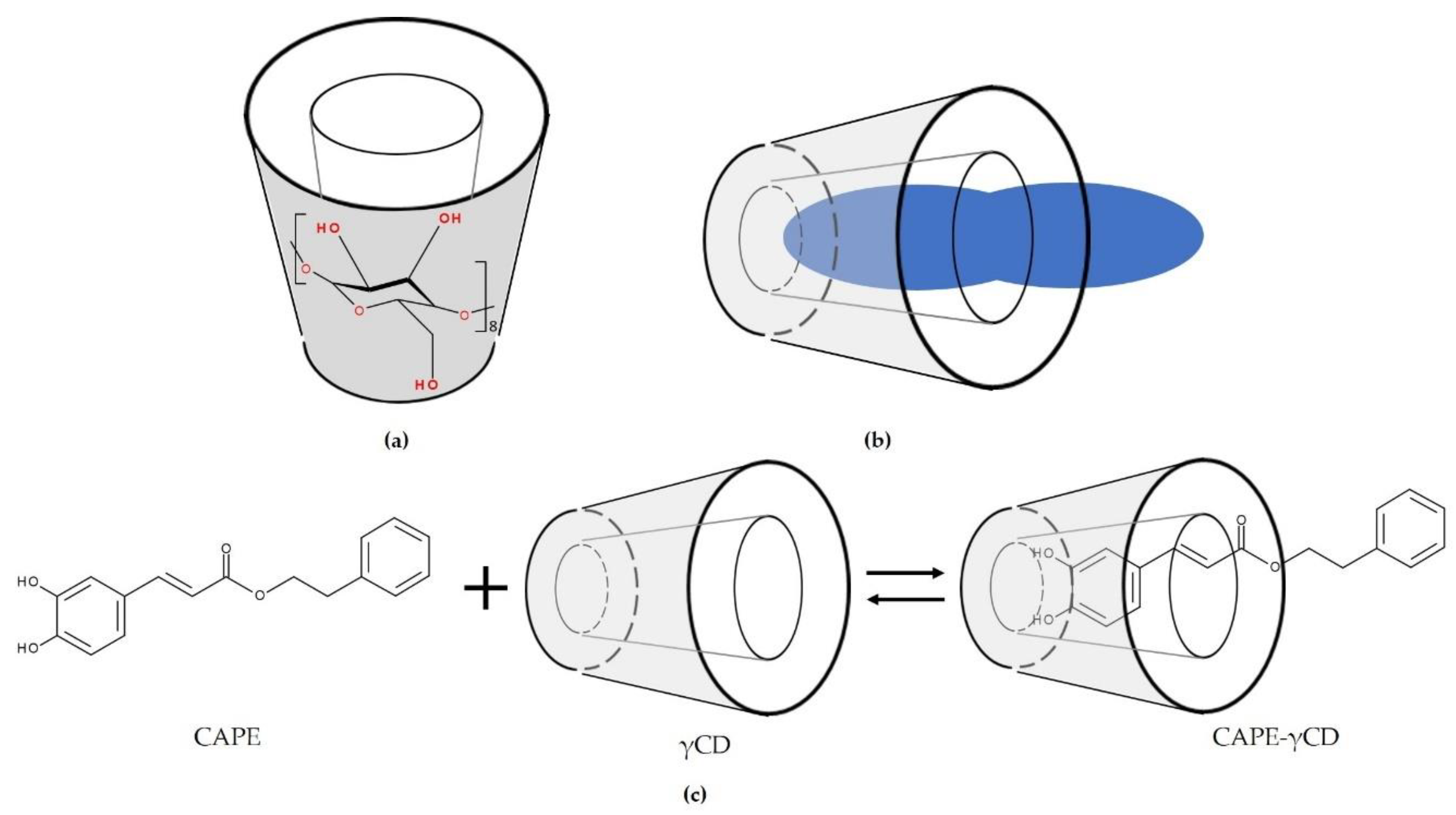 Biomolecules 11 00401 g004 Biomolecules 11 00401 g004