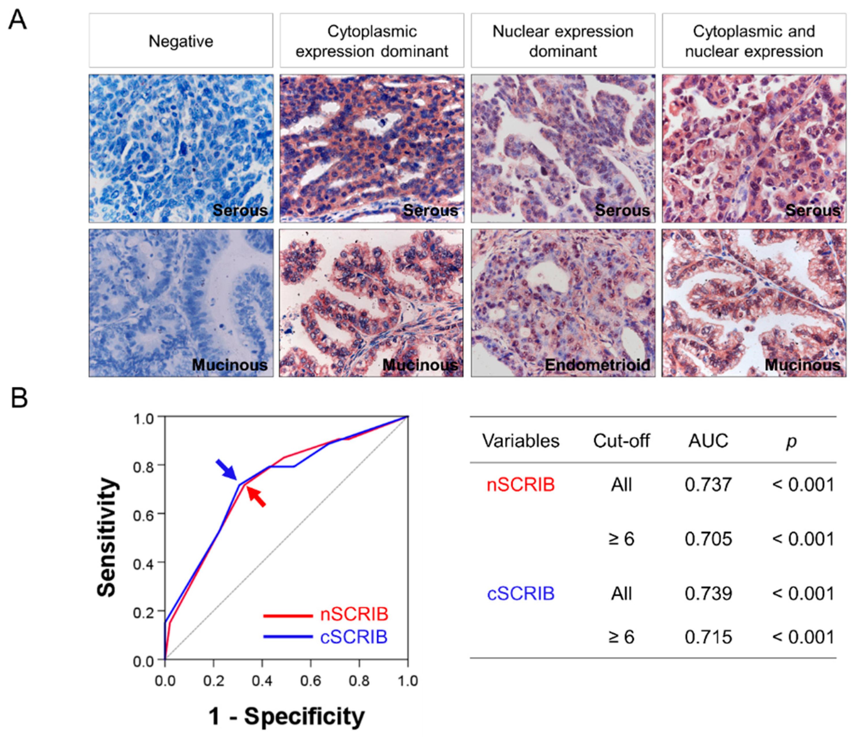 Biomolecules 11 00405 g001 Biomolecules 11 00405 g001