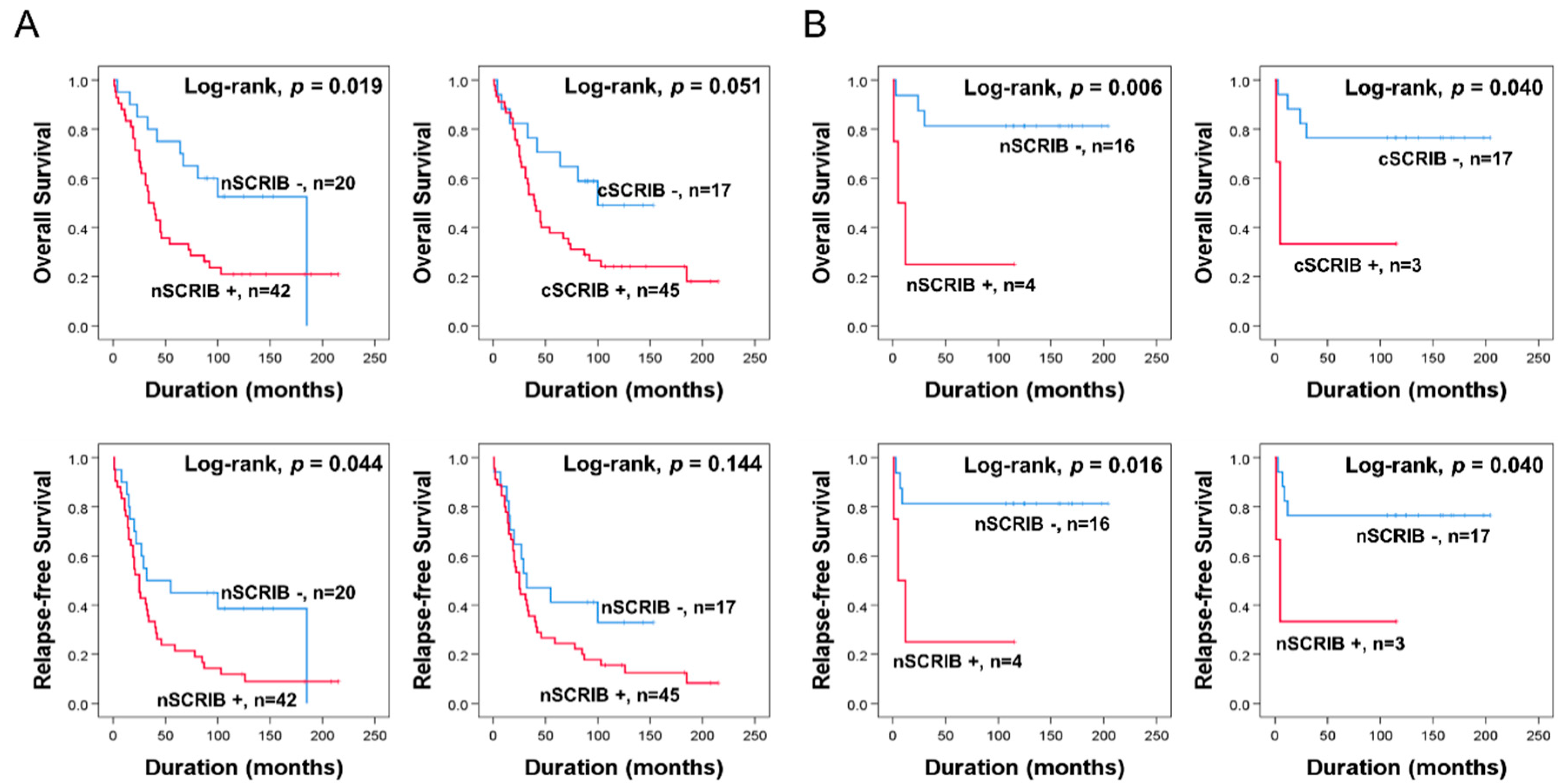 Biomolecules 11 00405 g003 Biomolecules 11 00405 g003