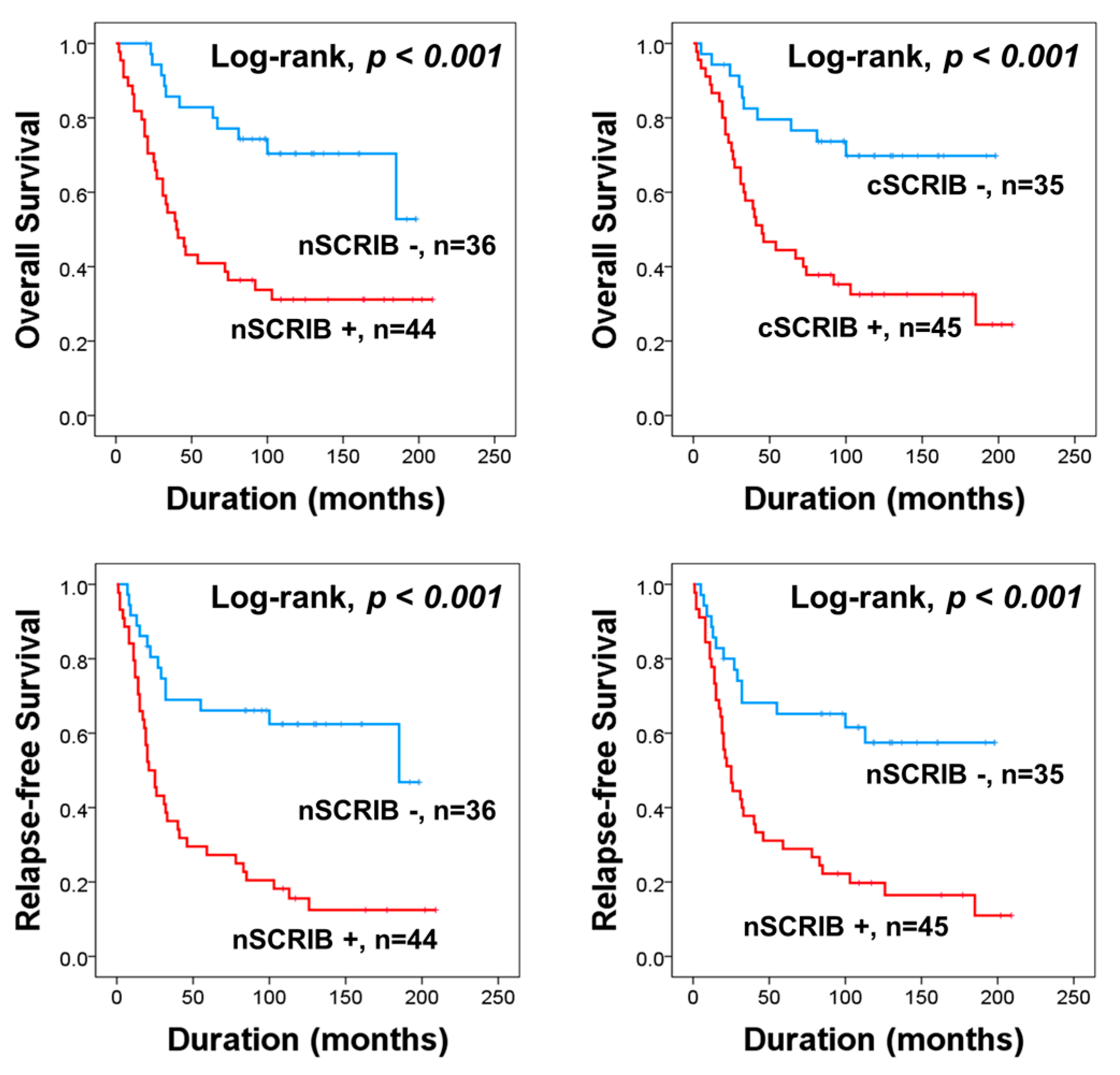 Biomolecules 11 00405 g004 Biomolecules 11 00405 g004