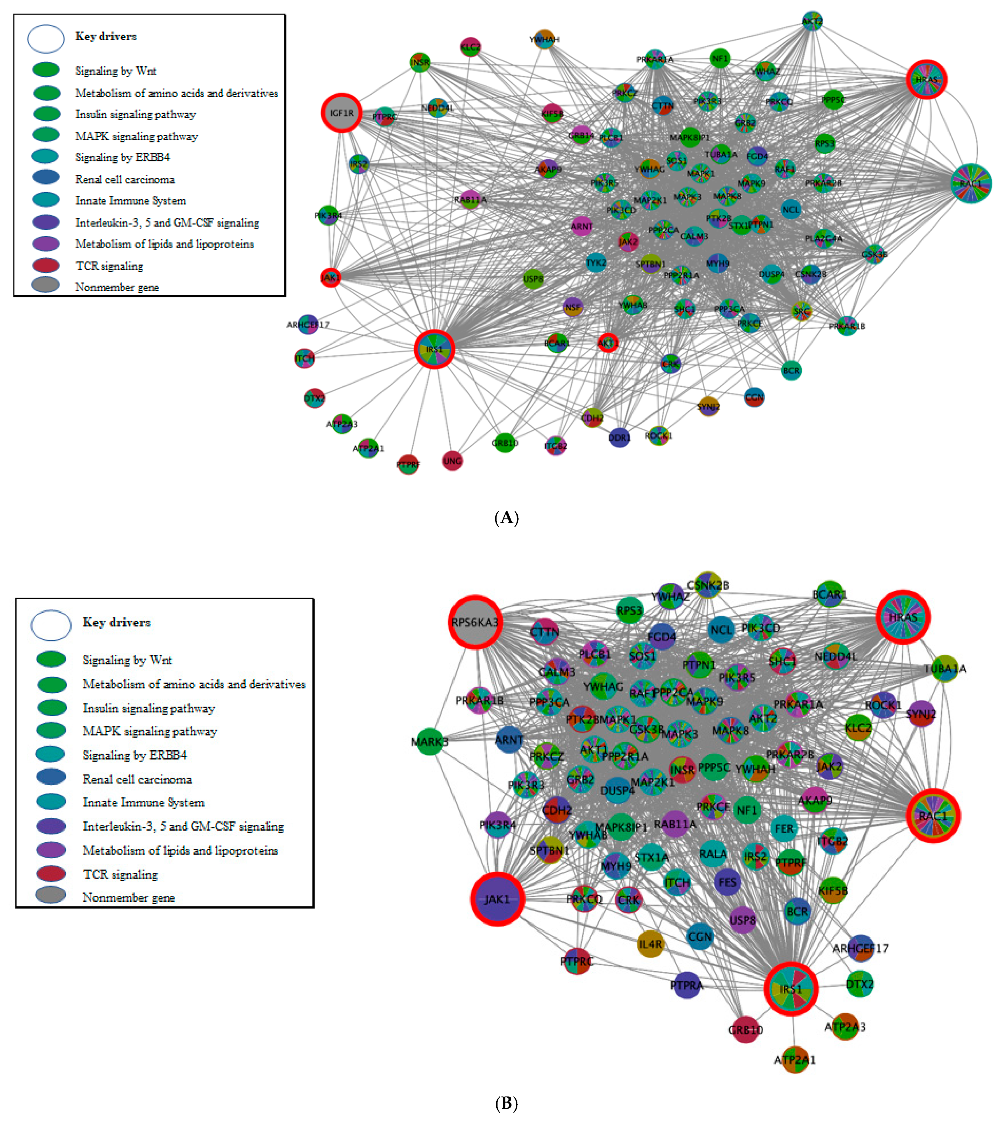 Biomolecules 11 00406 g003
