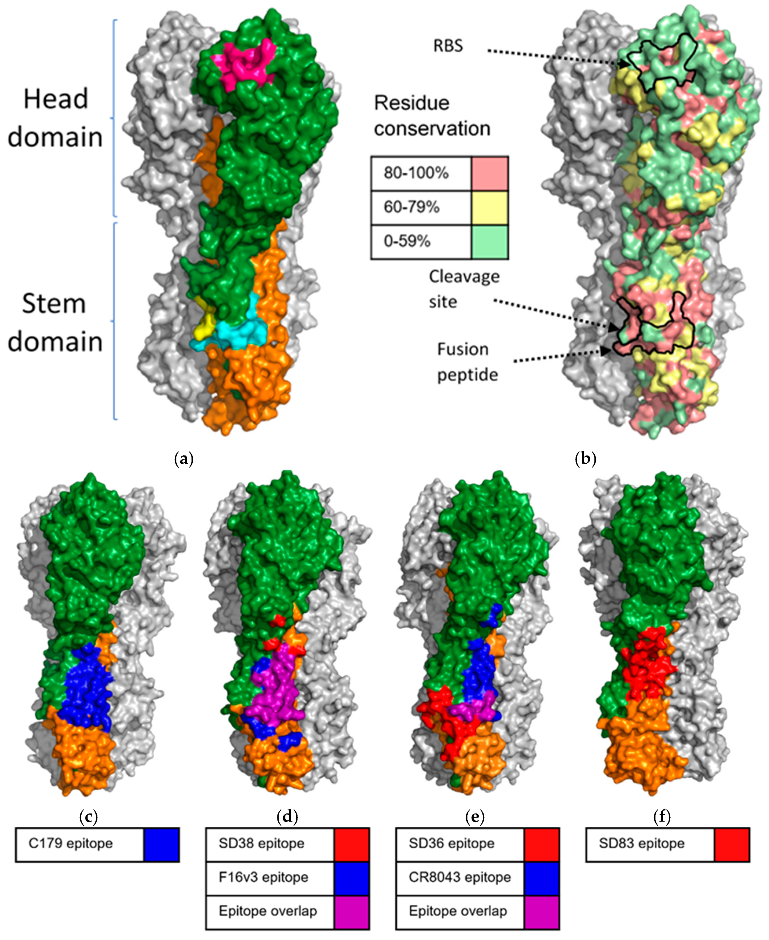 Biomolecules 11 00407 g002 Biomolecules 11 00407 g002