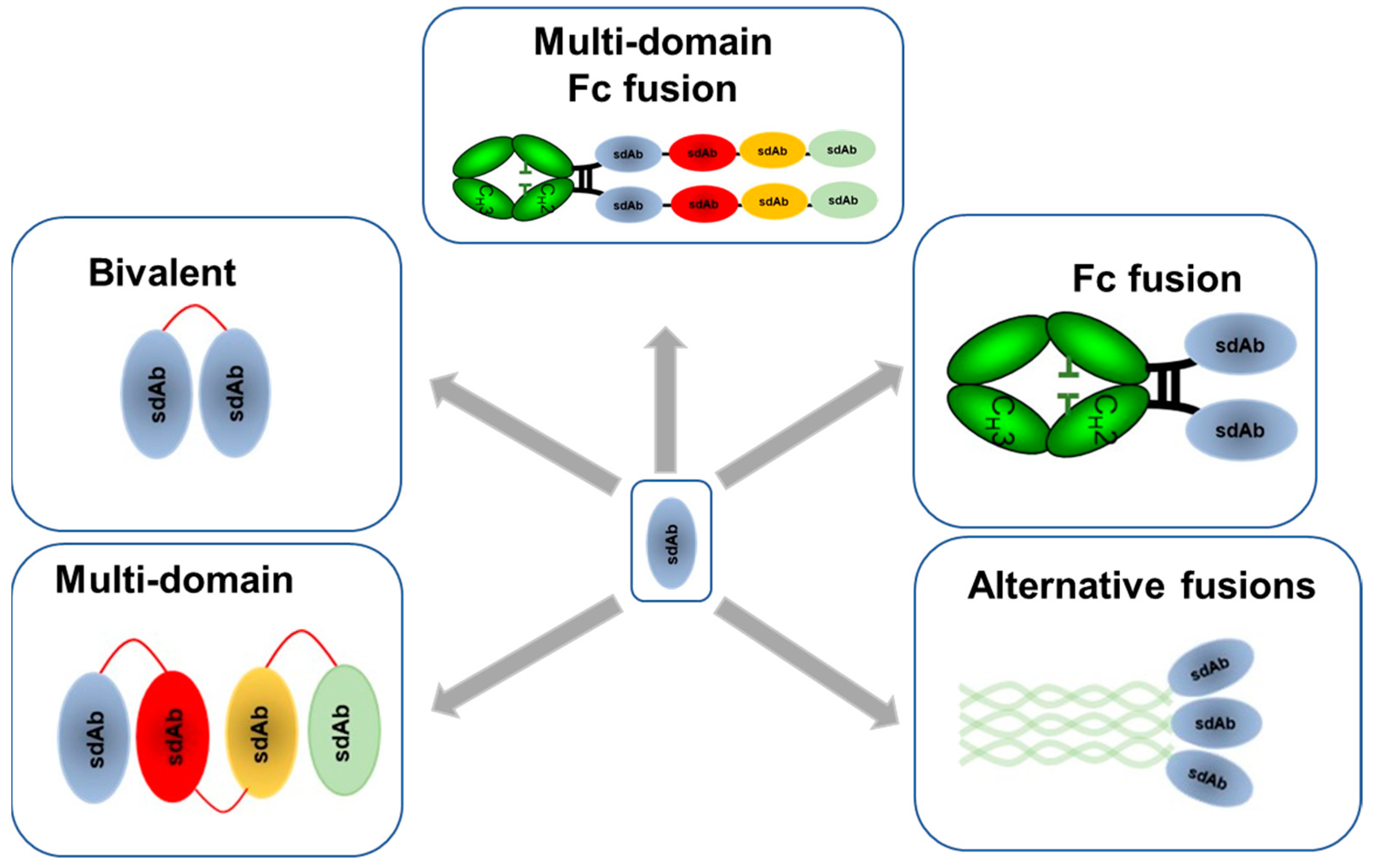 Biomolecules 11 00407 g003 Biomolecules 11 00407 g003
