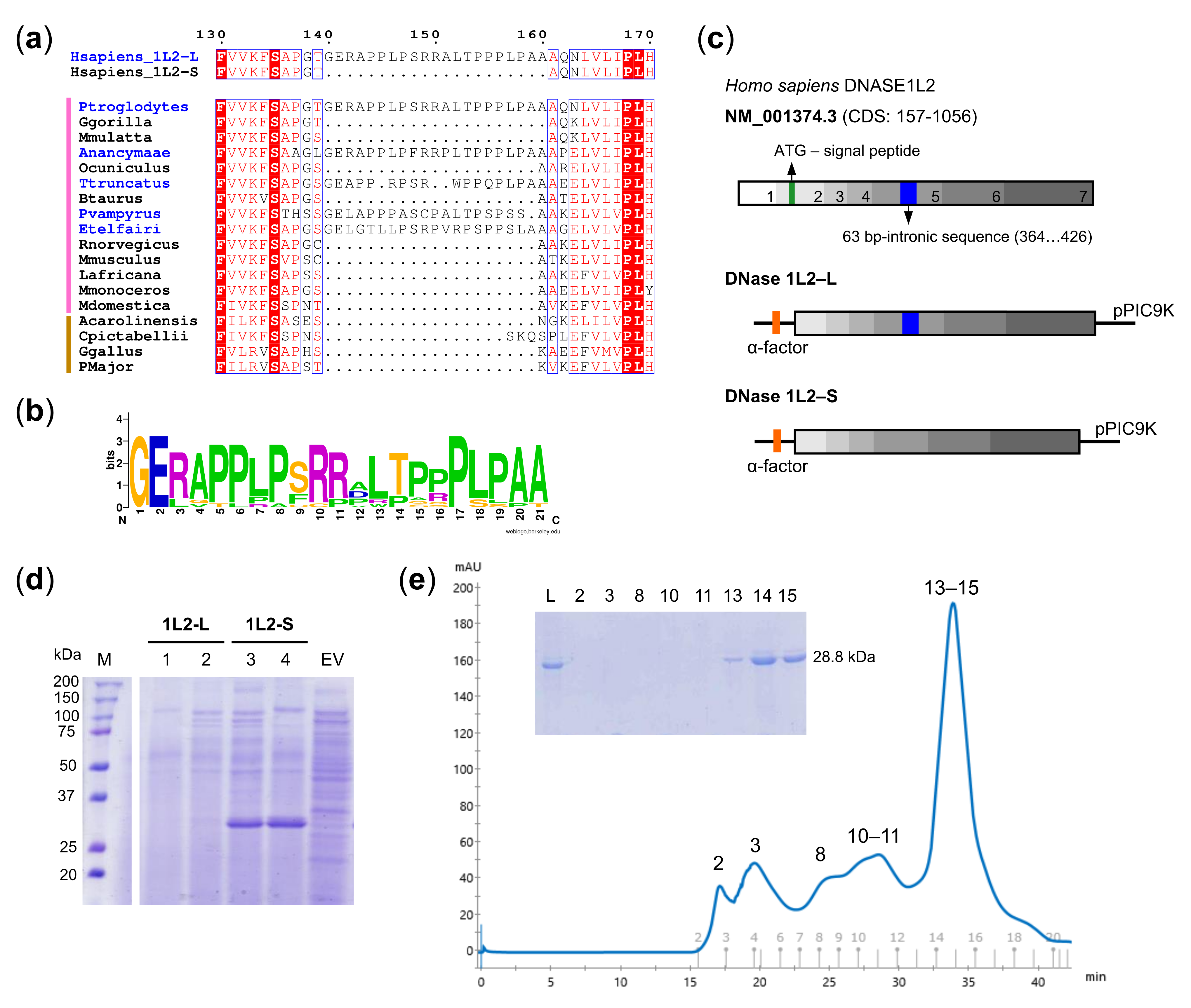 Biomolecules 11 00410 g001 Biomolecules 11 00410 g001
