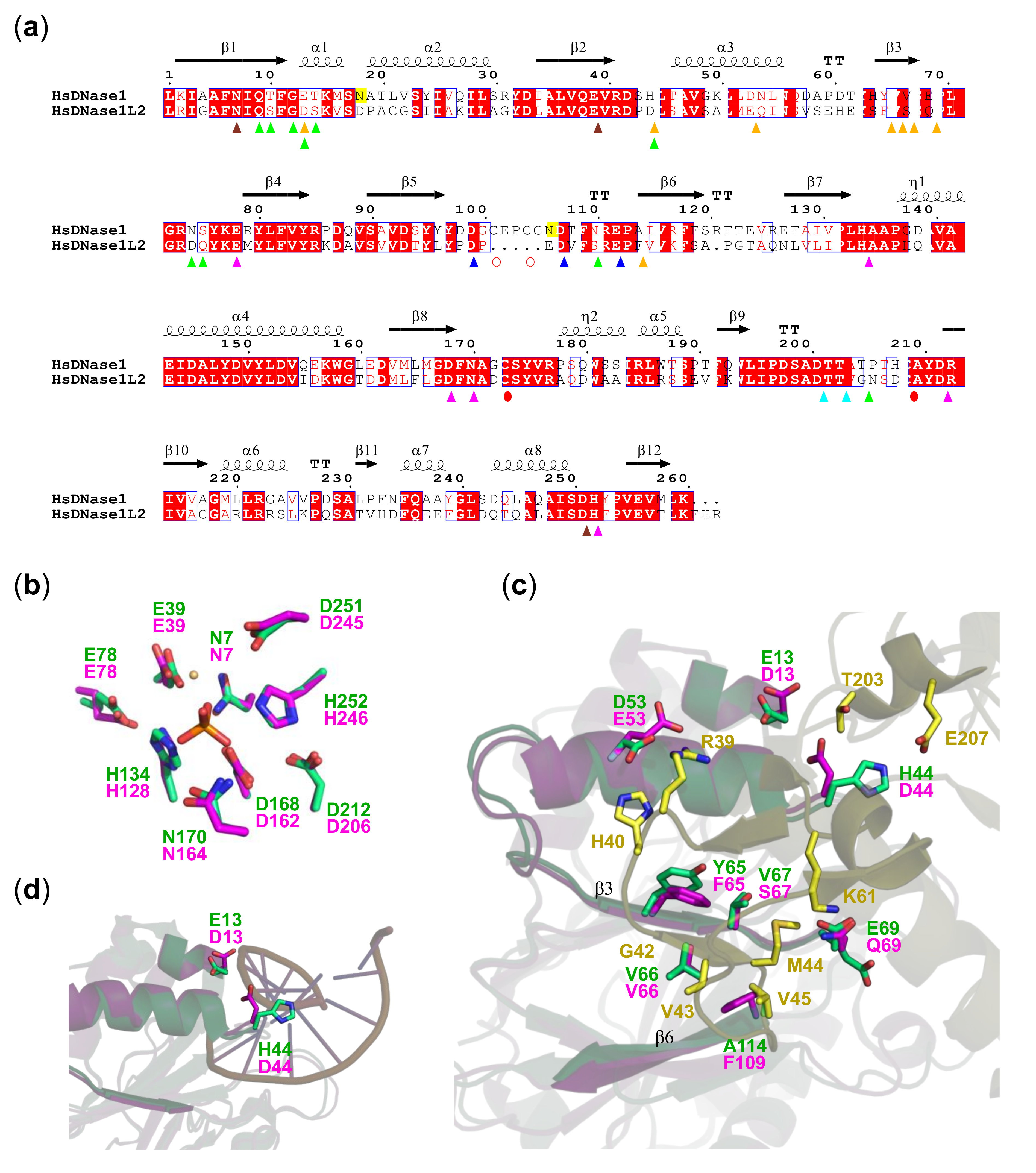 Biomolecules 11 00410 g004 Biomolecules 11 00410 g004
