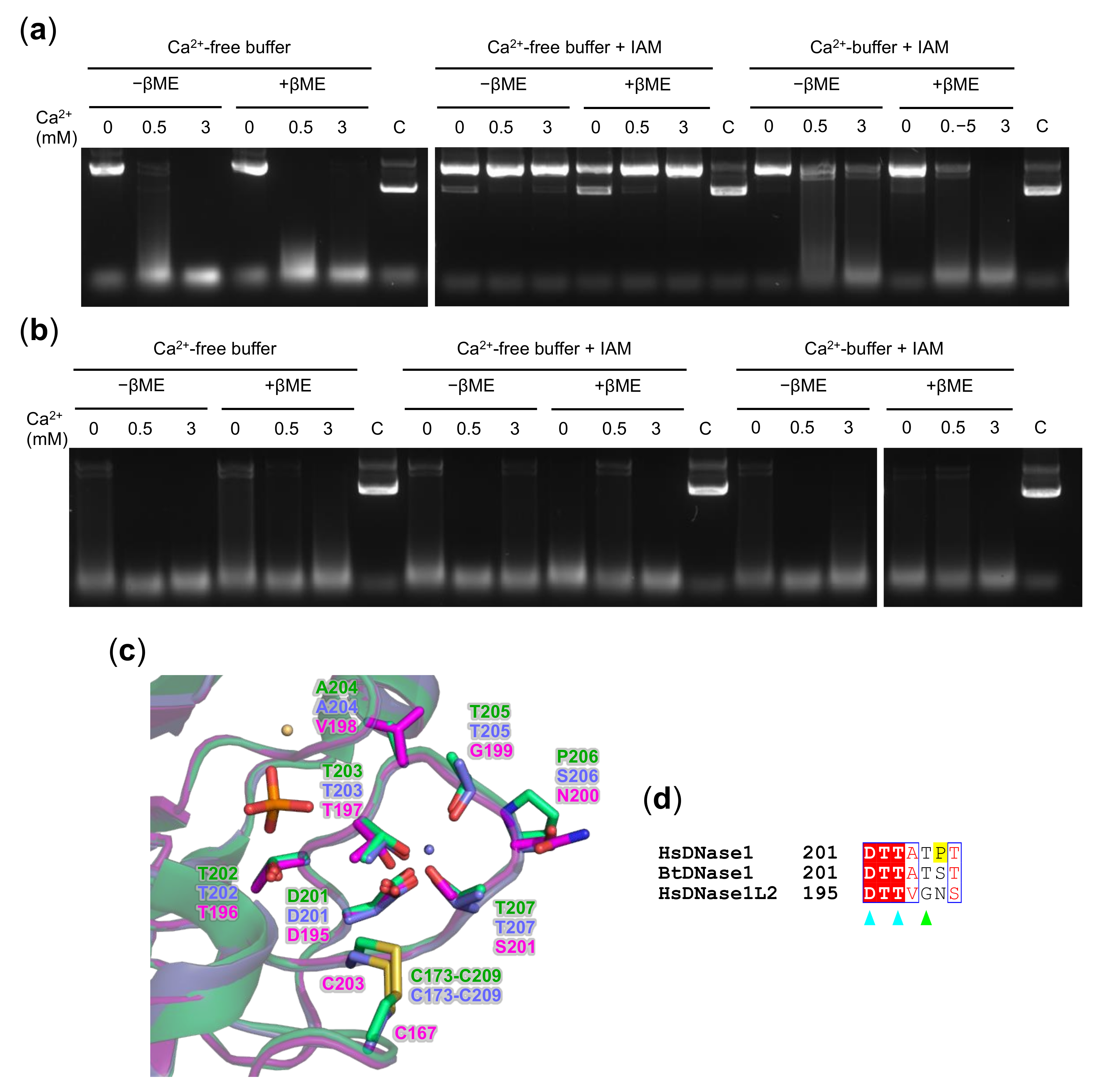 Biomolecules 11 00410 g005 Biomolecules 11 00410 g005
