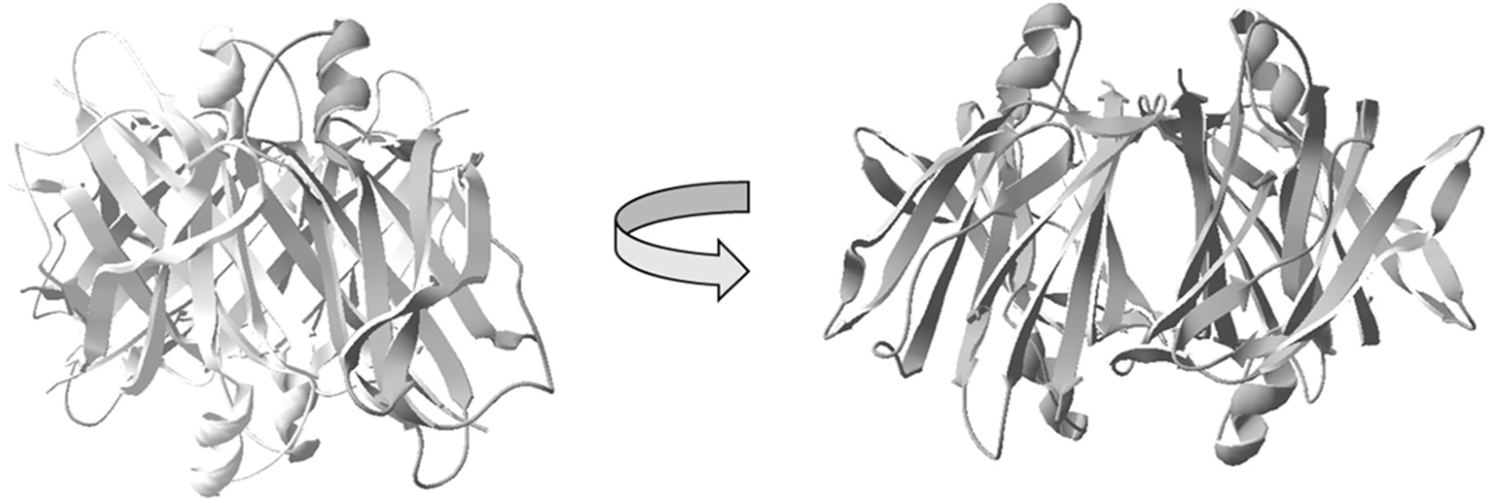 Biomolecules 11 00411 g001 Biomolecules 11 00411 g001