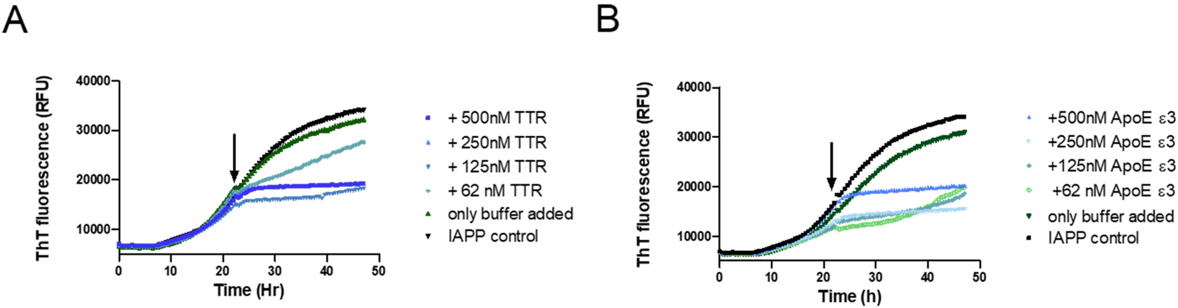 Biomolecules 11 00411 g004 Biomolecules 11 00411 g004