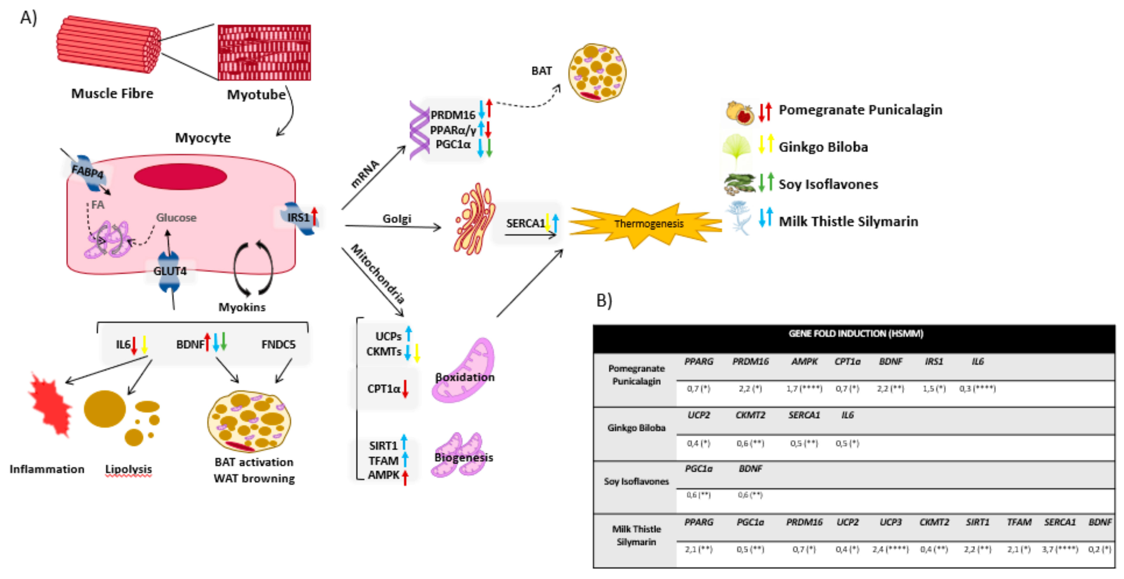 Biomolecules 11 00412 g005 Biomolecules 11 00412 g005