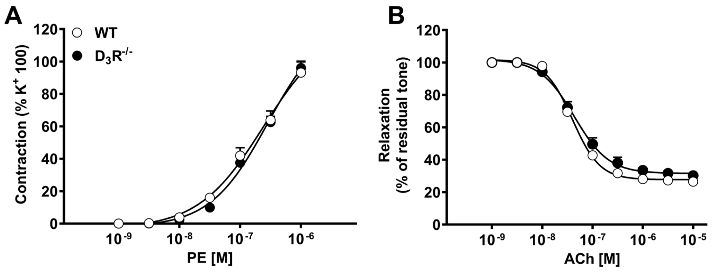 Biomolecules 11 00418 g001 Biomolecules 11 00418 g001