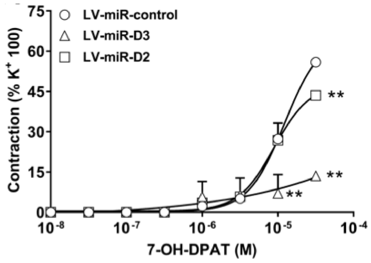 Biomolecules 11 00418 g005 Biomolecules 11 00418 g005