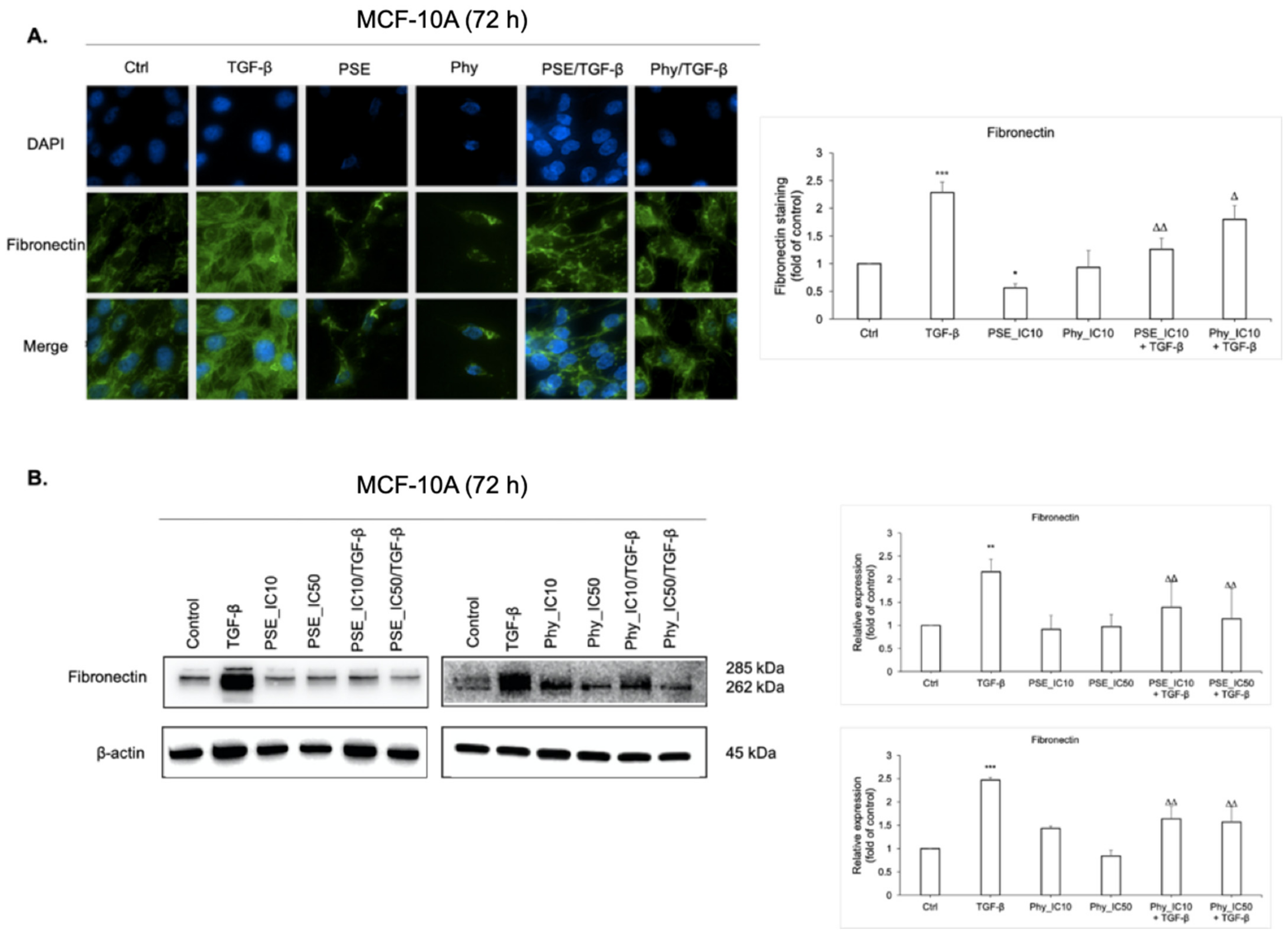 Biomolecules 11 00420 g008 Biomolecules 11 00420 g008