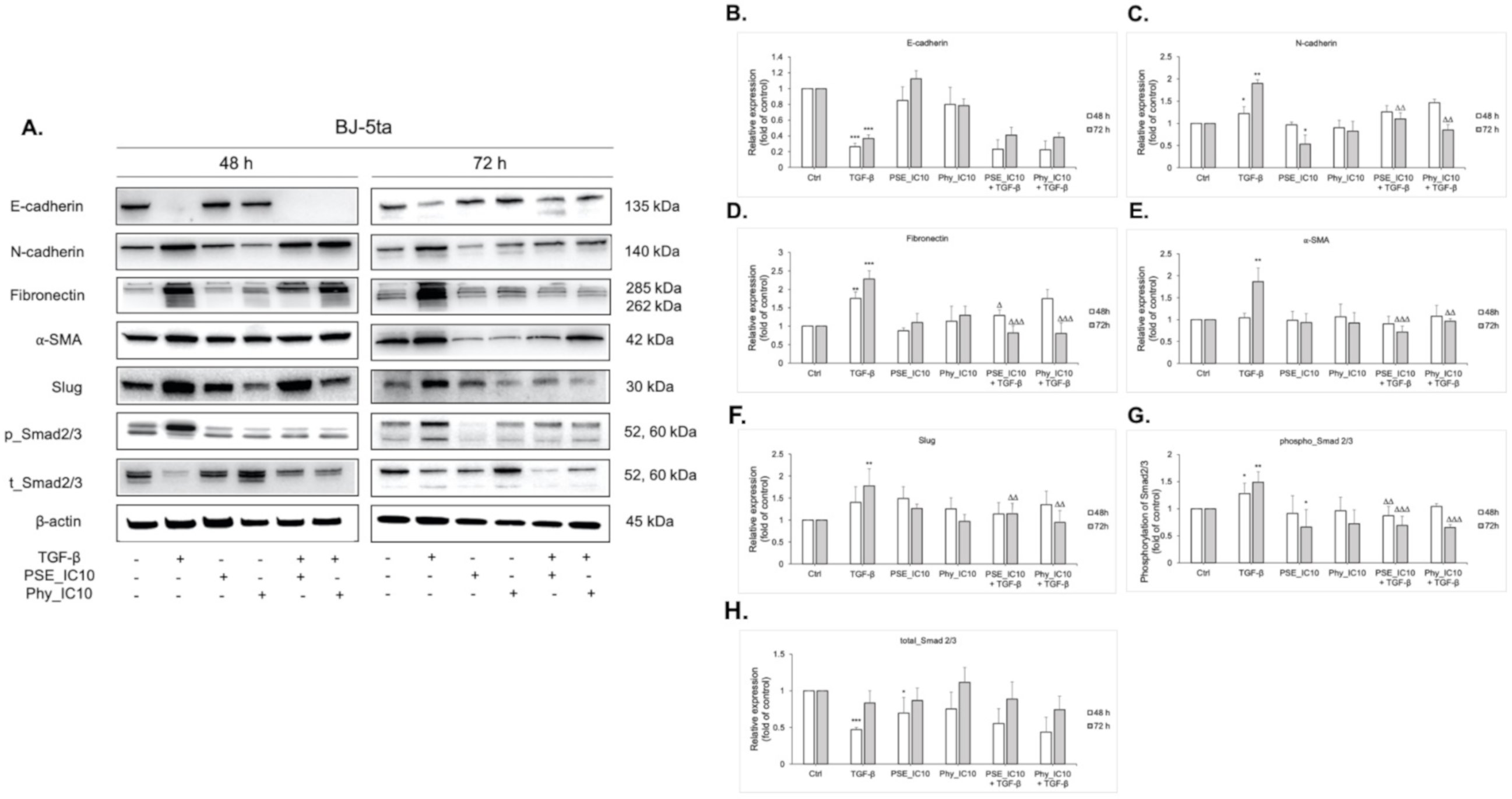 Biomolecules 11 00420 g009 Biomolecules 11 00420 g009