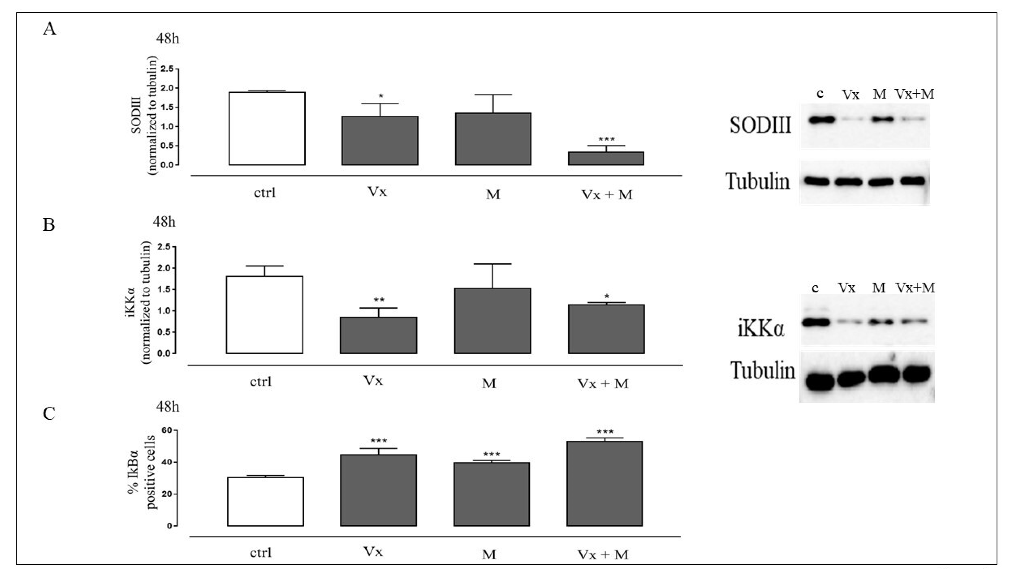 Biomolecules 11 00422 g004