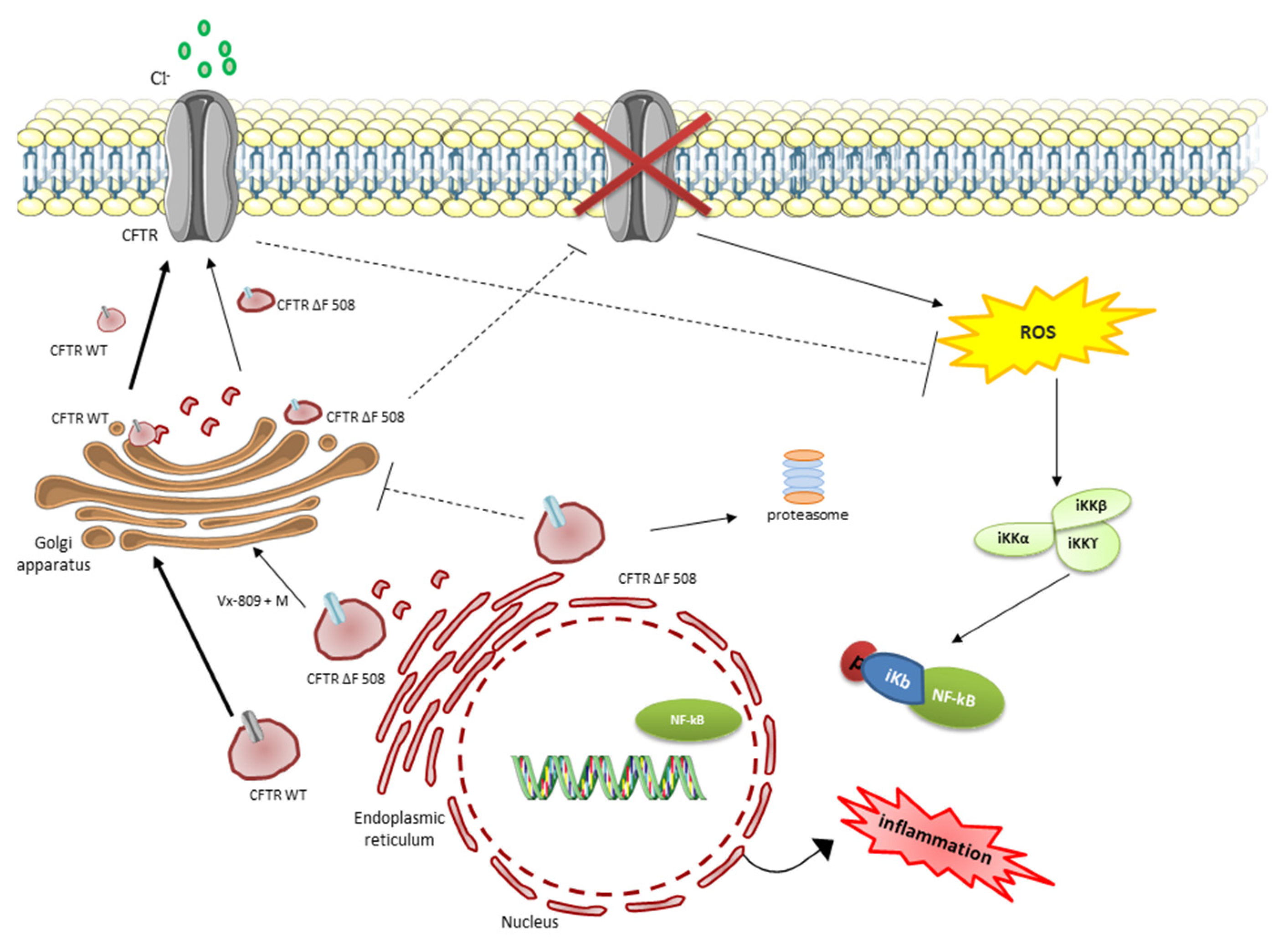 Biomolecules 11 00422 sch001