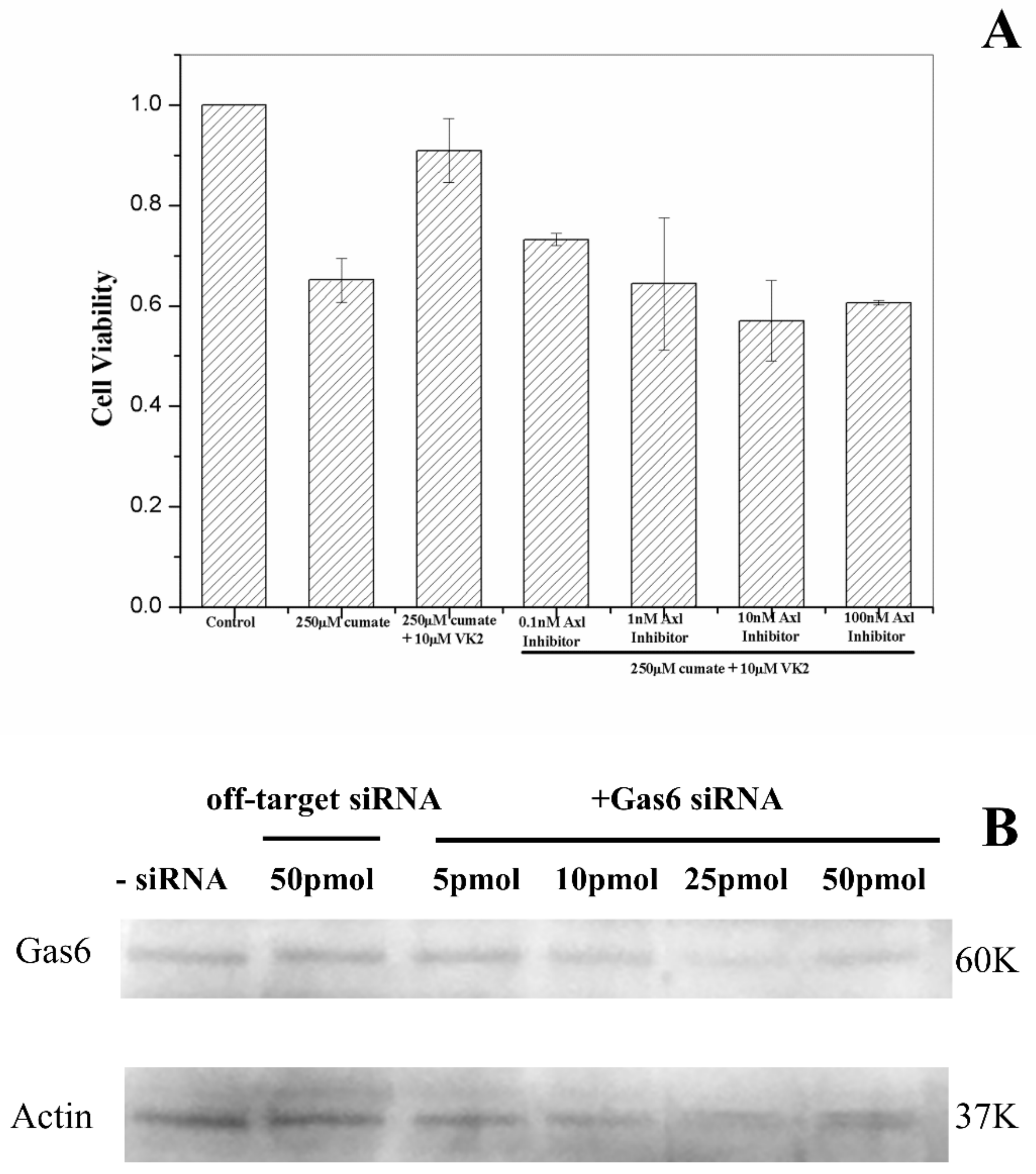 Biomolecules Free Full Text Molecular Mechanism Of Vitamin K2 Protection Against Amyloid B Induced Cytotoxicity Html Biomolecules Free Full Text Molecular Mechanism Of Vitamin K2 Protection Against Amyloid B Induced Cytotoxicity Html