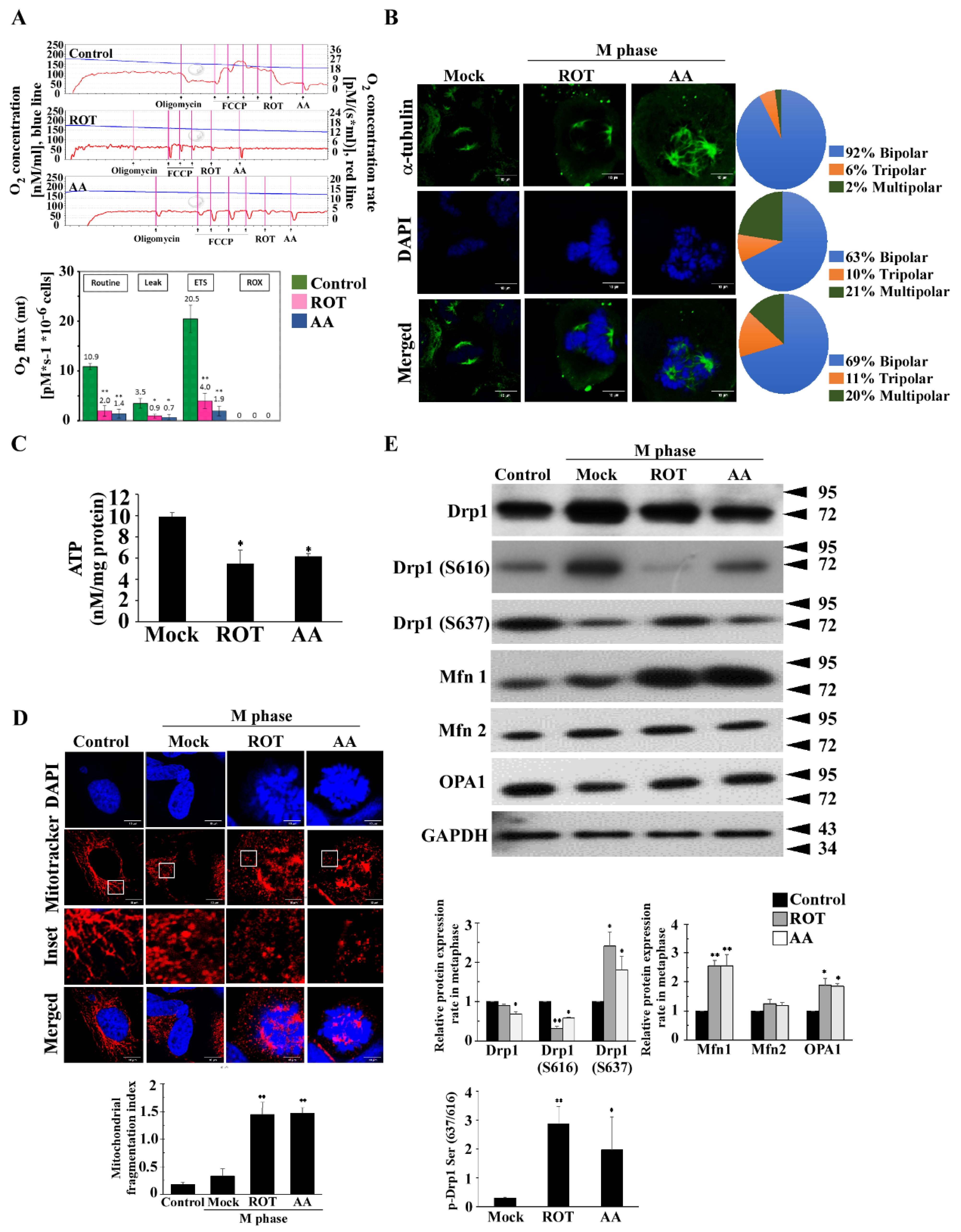 Biomolecules 11 00424 g001 Biomolecules 11 00424 g001