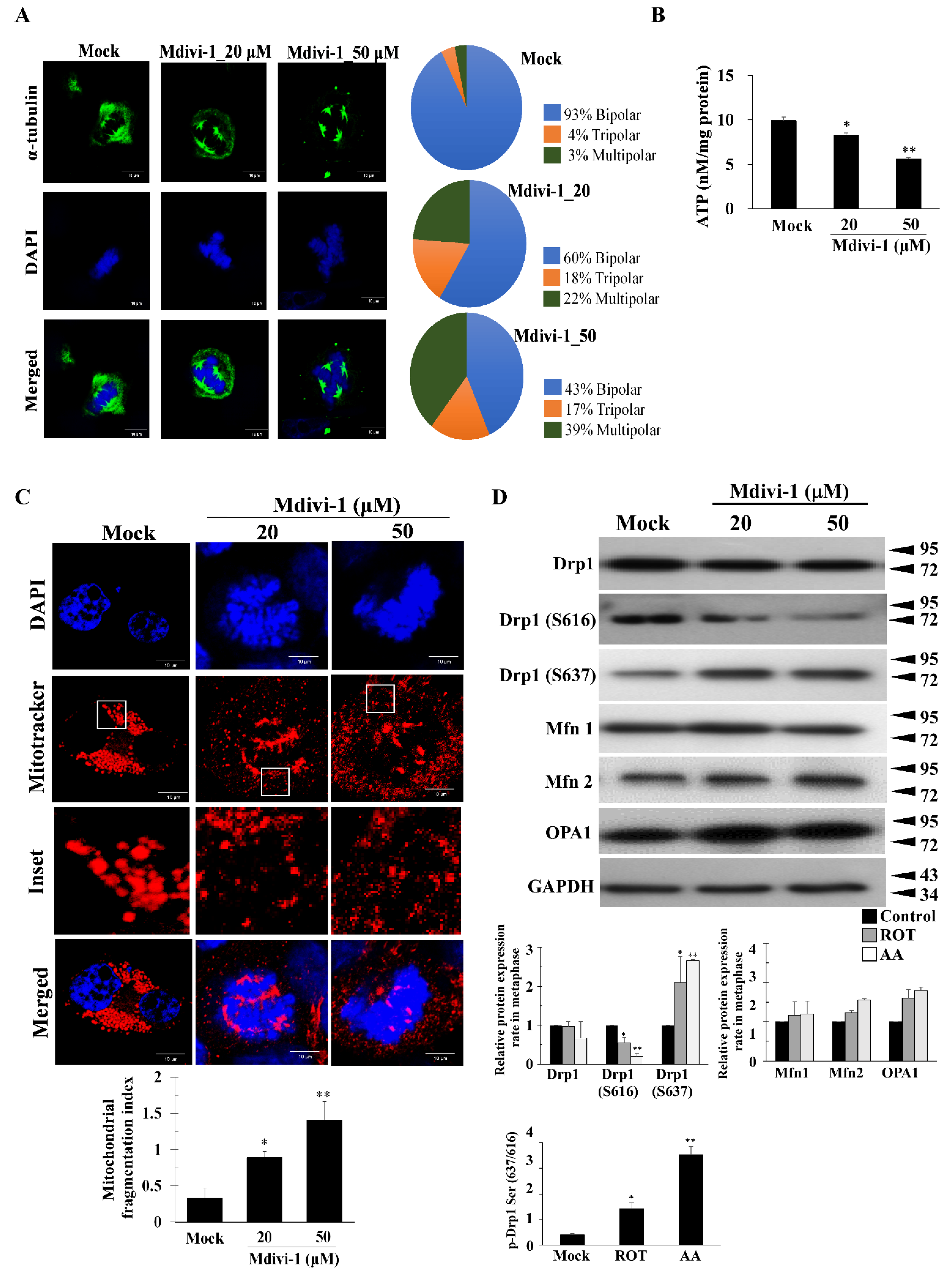 Biomolecules 11 00424 g002 Biomolecules 11 00424 g002