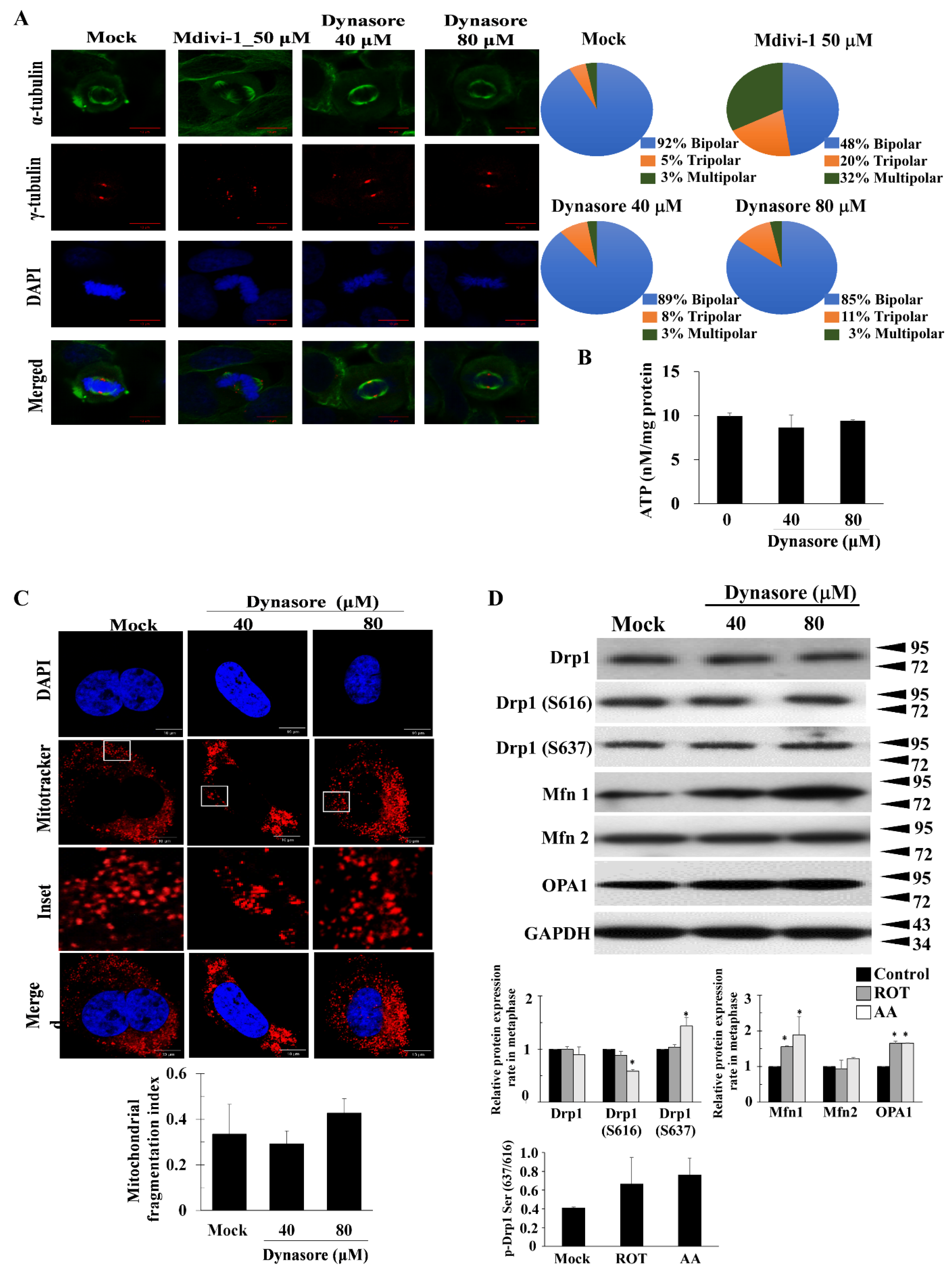 Biomolecules 11 00424 g003 Biomolecules 11 00424 g003