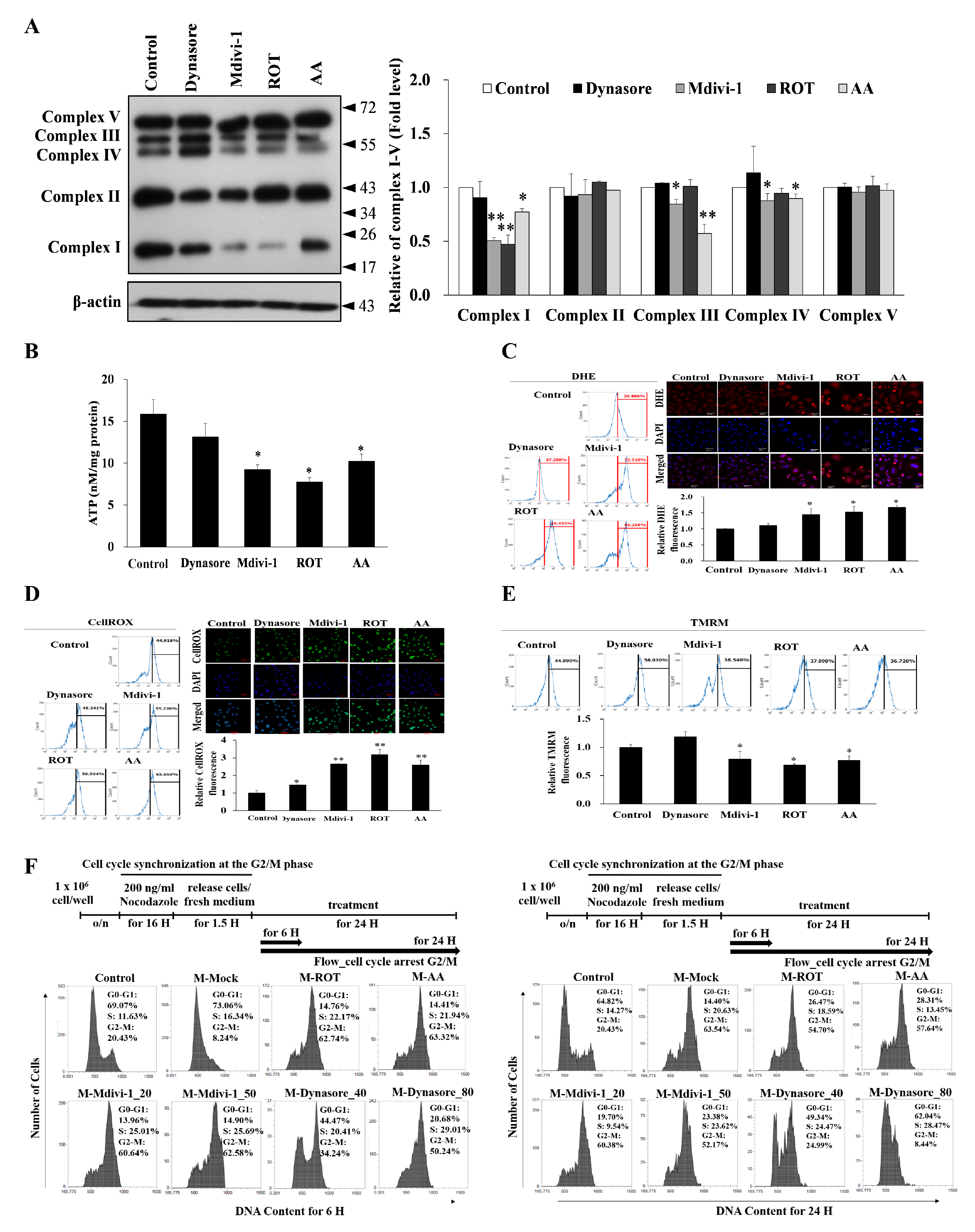 Biomolecules 11 00424 g004 Biomolecules 11 00424 g004