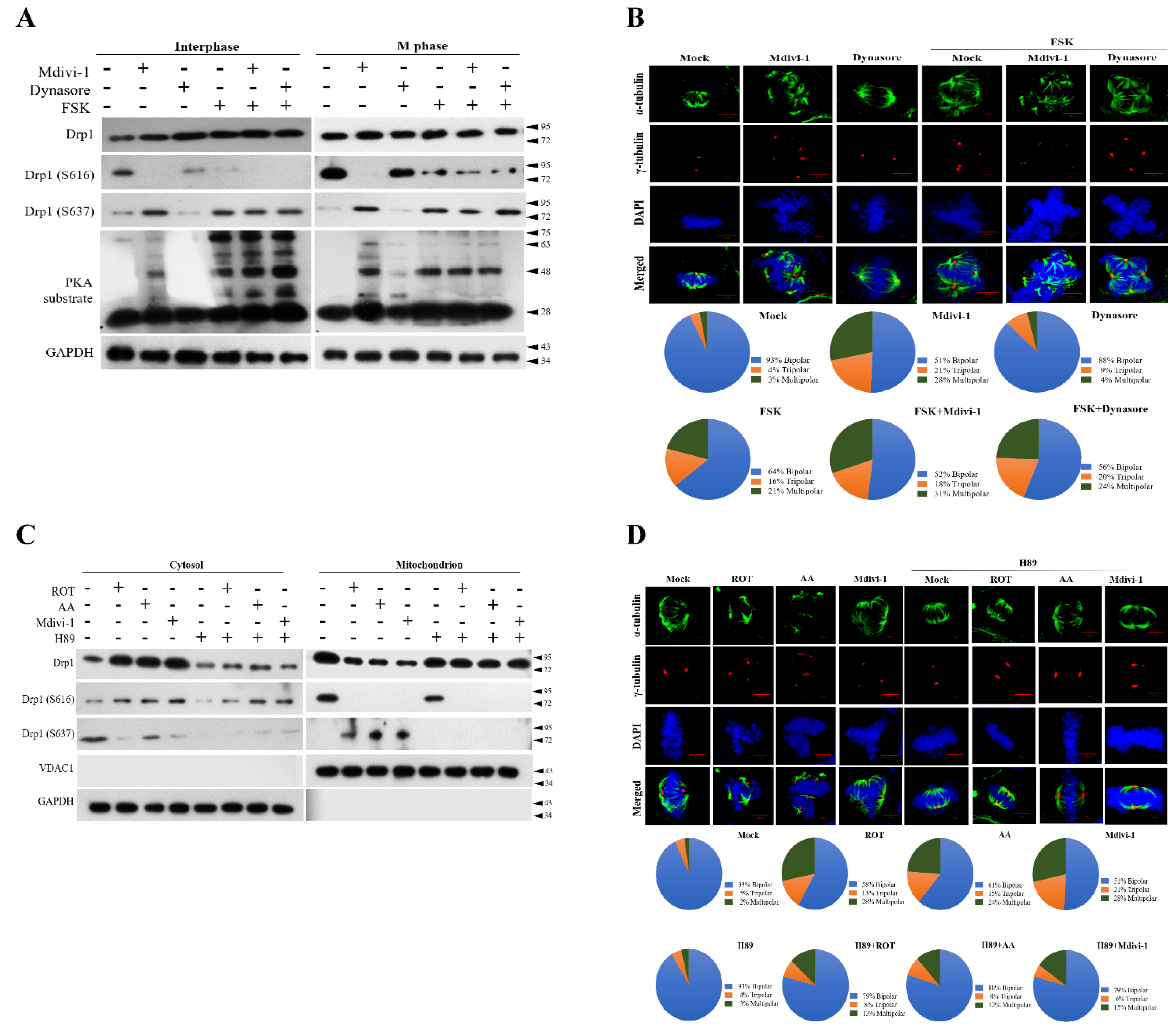 Biomolecules 11 00424 g005 Biomolecules 11 00424 g005
