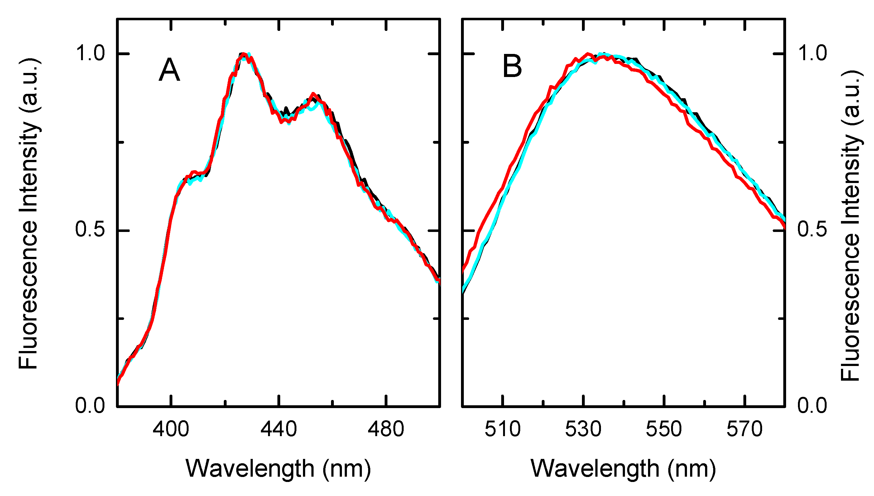 Biomolecules 11 00426 g007 Biomolecules 11 00426 g007