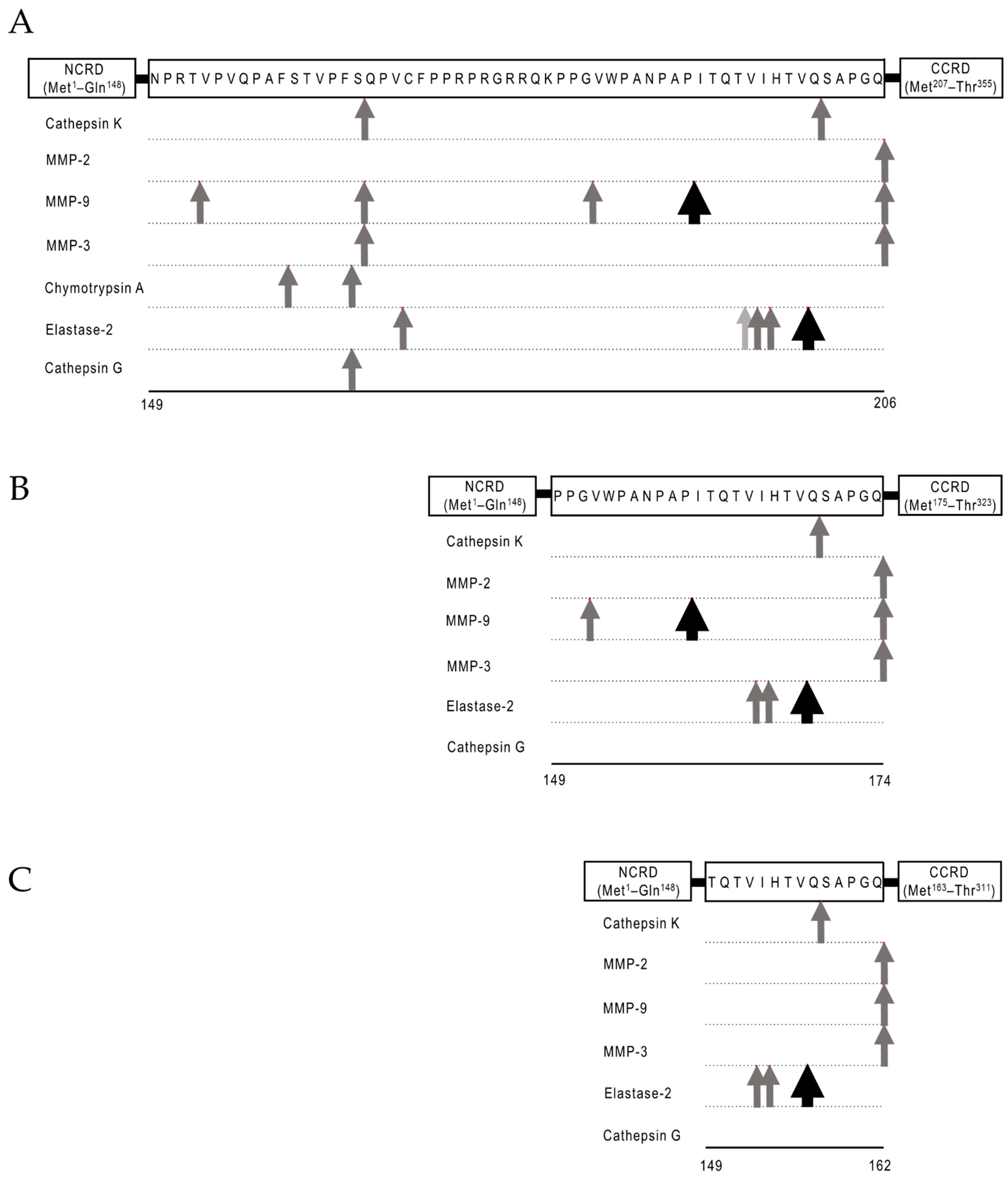 Biomolecules 11 00430 g002 Biomolecules 11 00430 g002