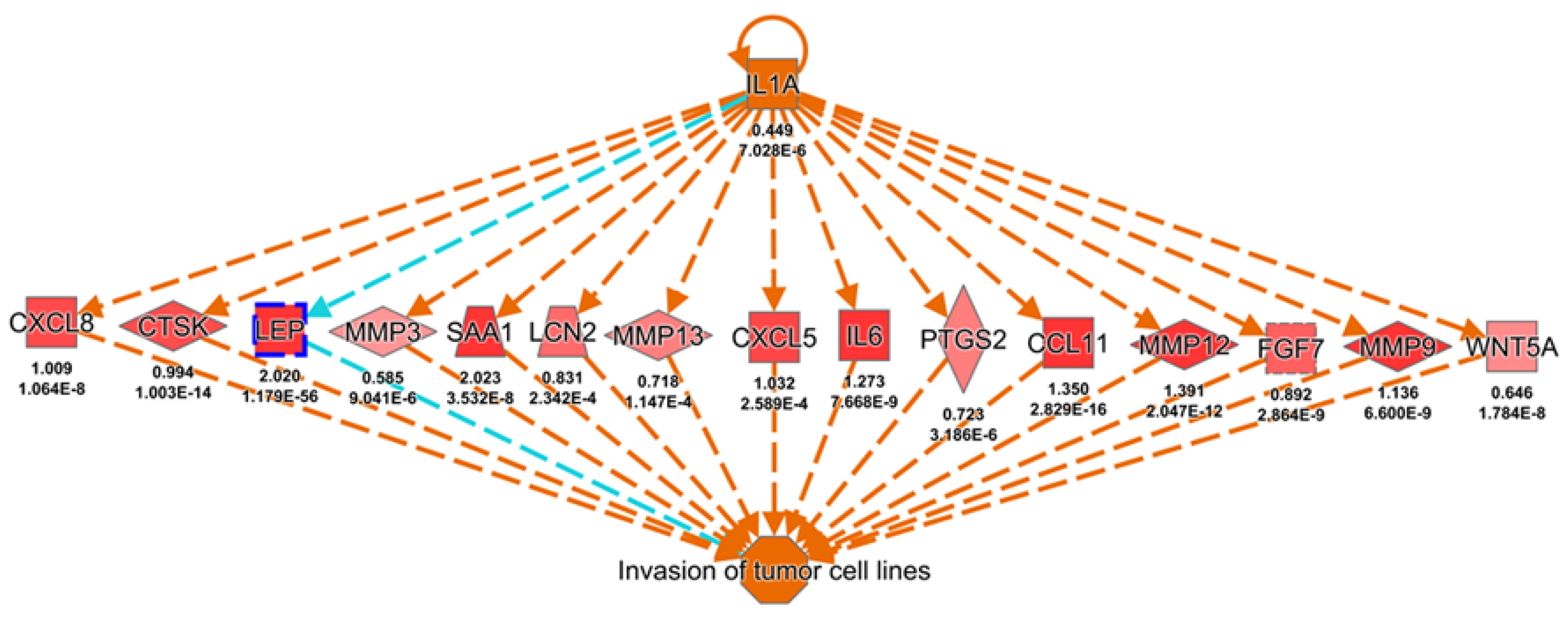 Biomolecules 11 00431 g002 Biomolecules 11 00431 g002