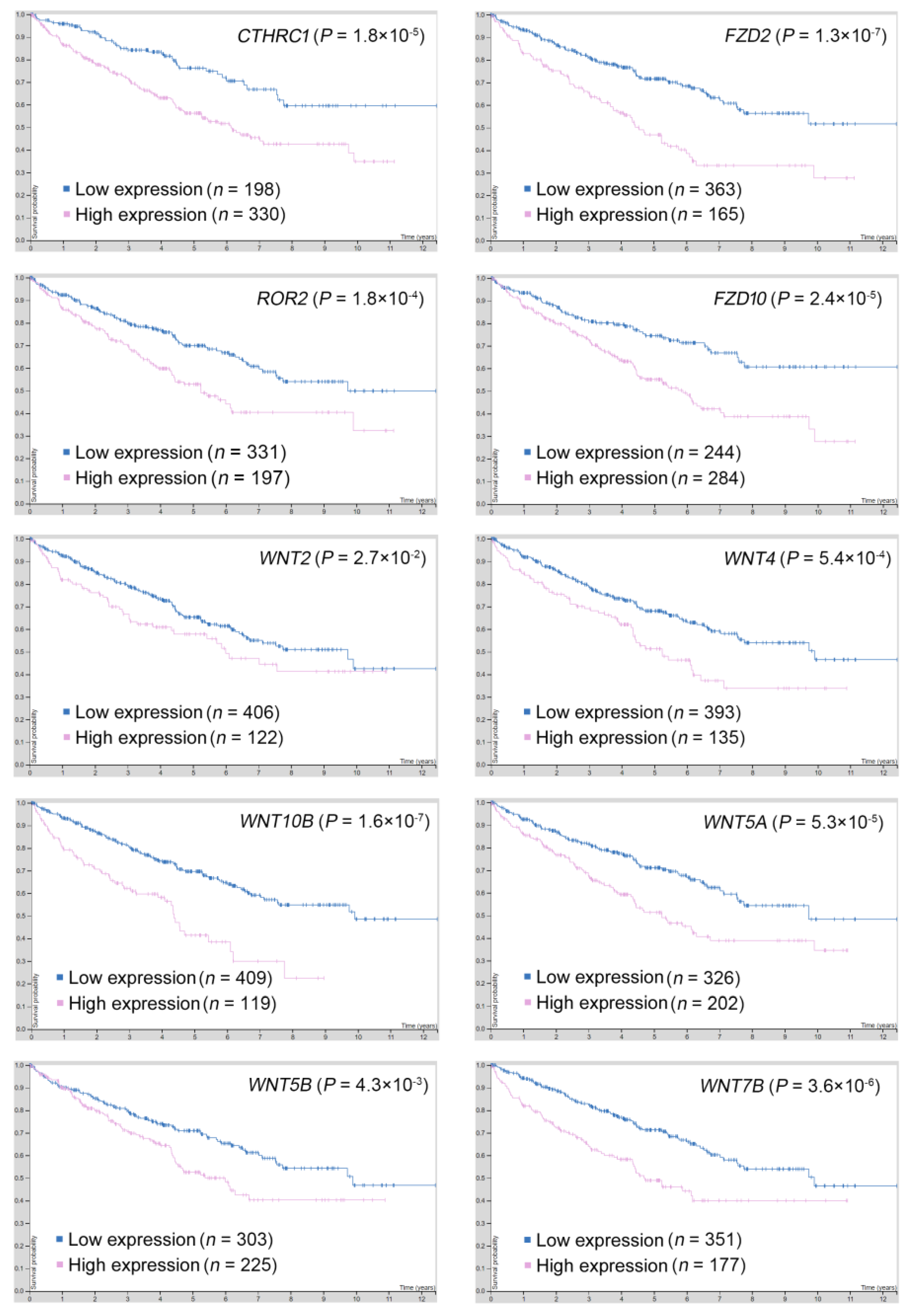 Biomolecules 11 00431 g005 Biomolecules 11 00431 g005