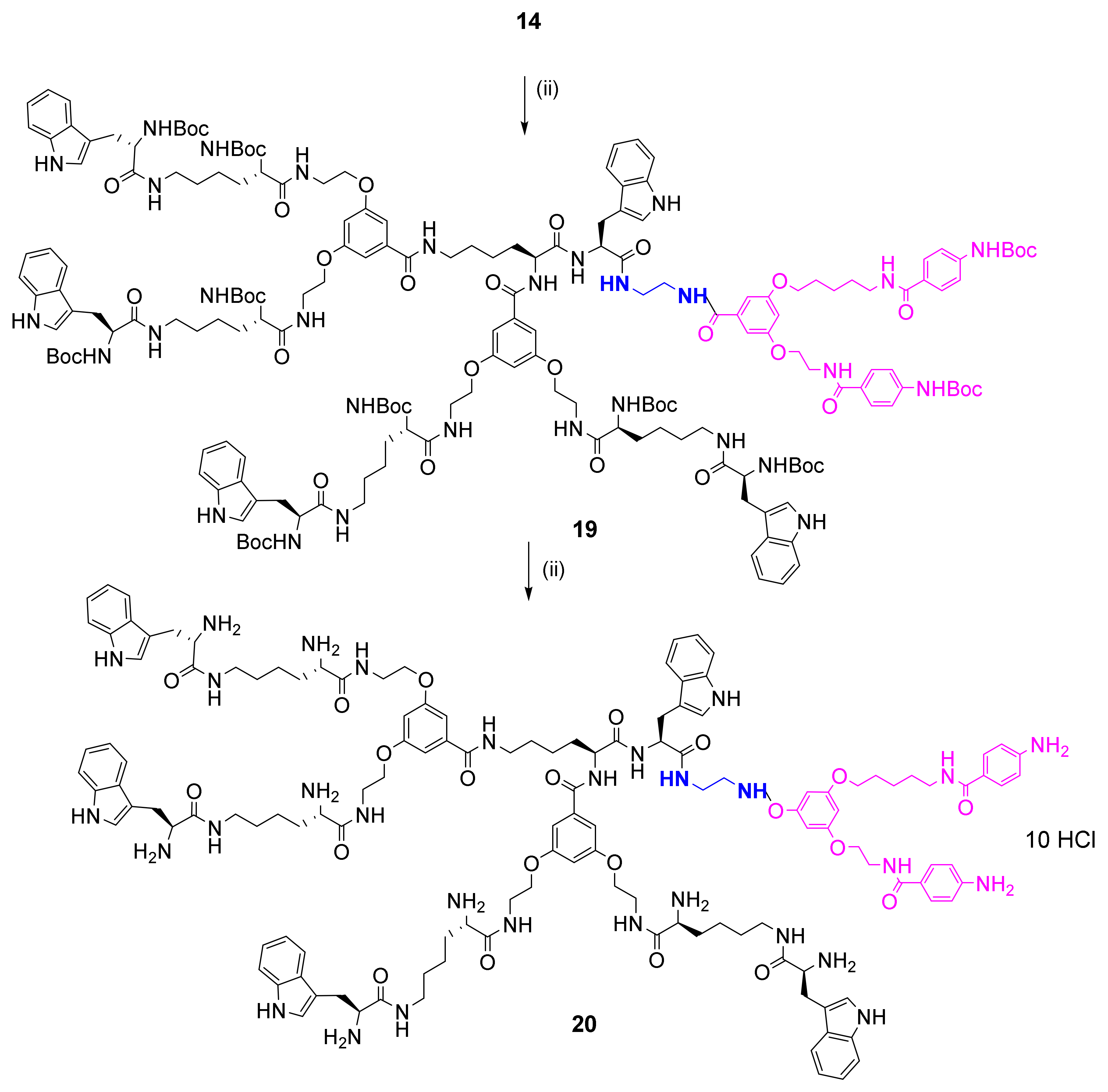 Biomolecules 11 00435 sch005