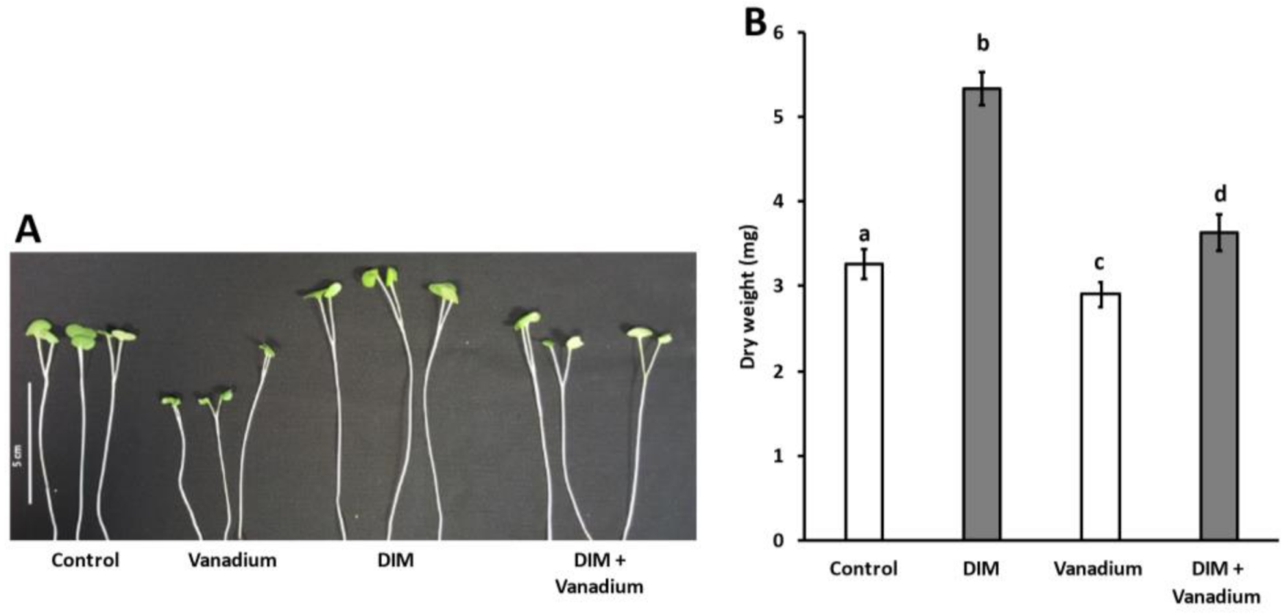 Biomolecules 11 00436 g001