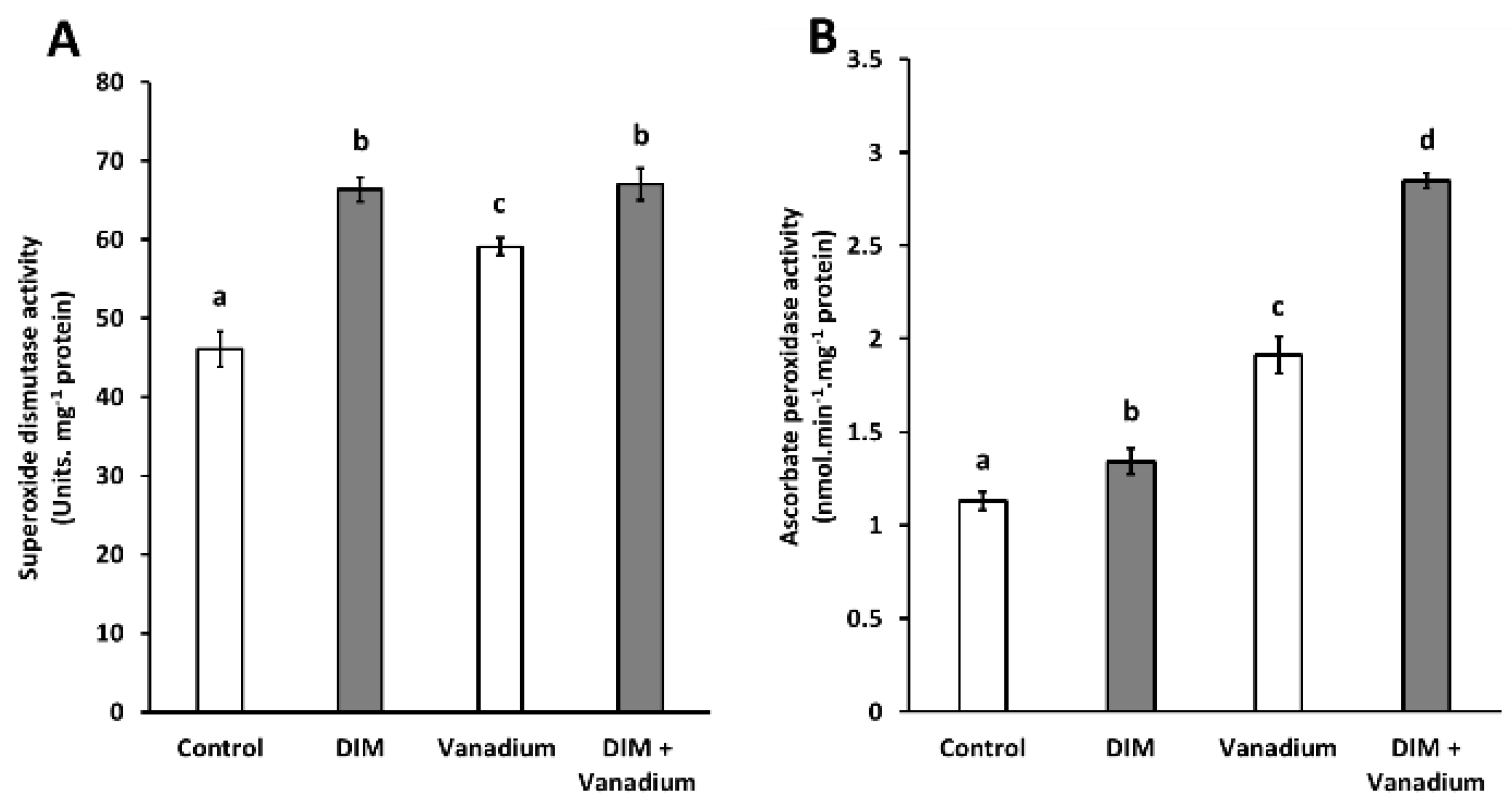 Biomolecules 11 00436 g005