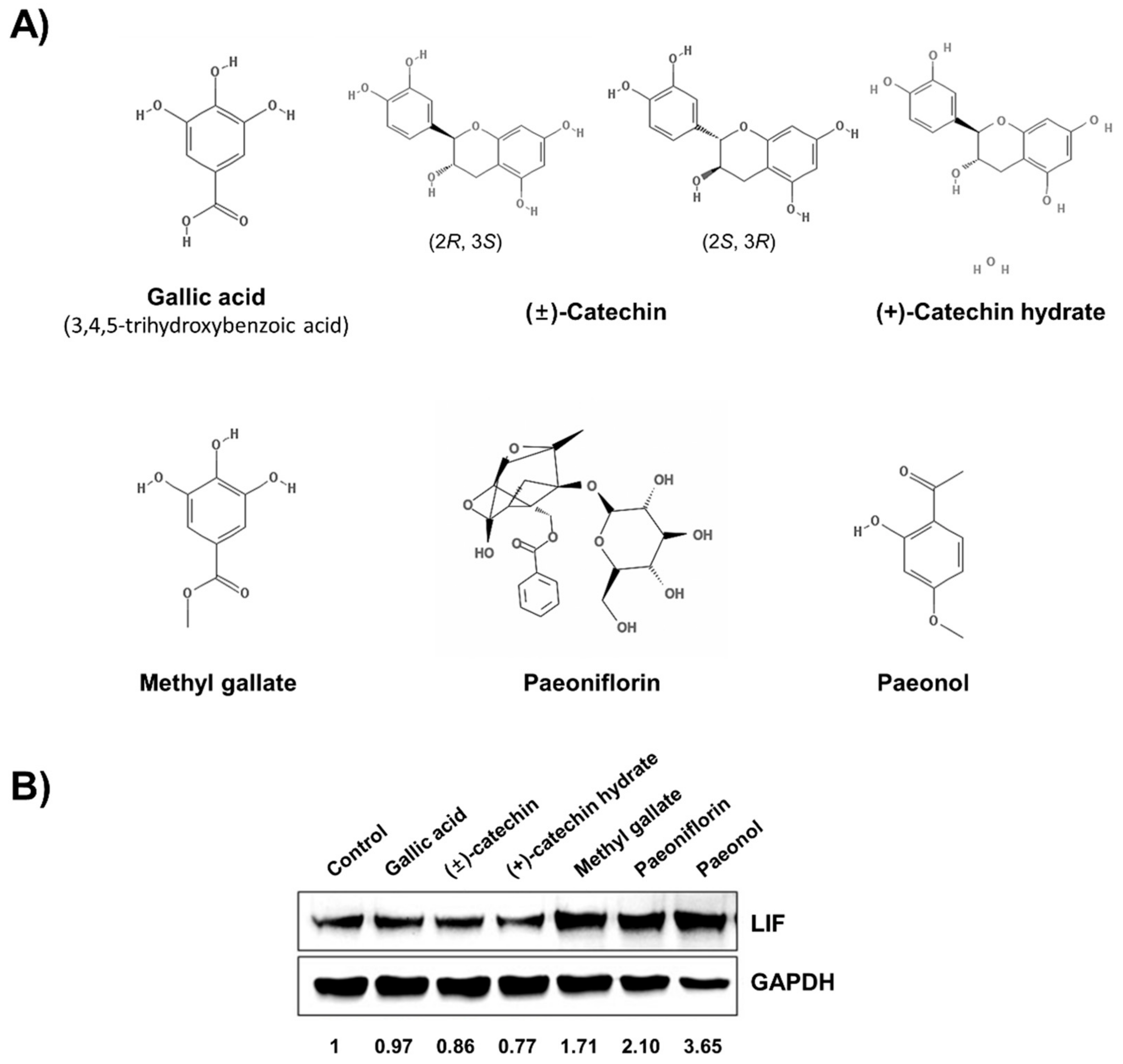 Biomolecules 11 00439 g001 Biomolecules 11 00439 g001